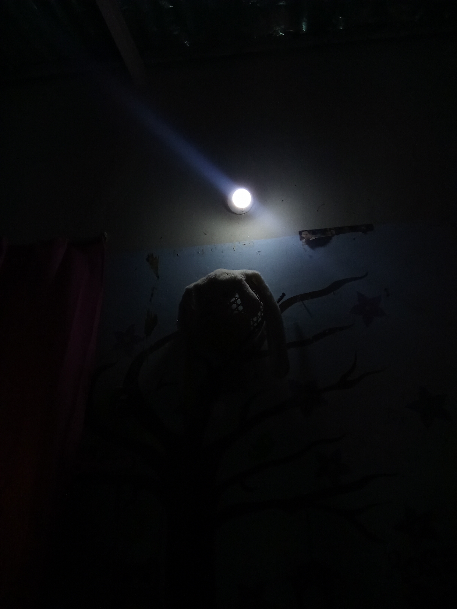 Dimly lit interior room documented in Juan Griego, Venezuela