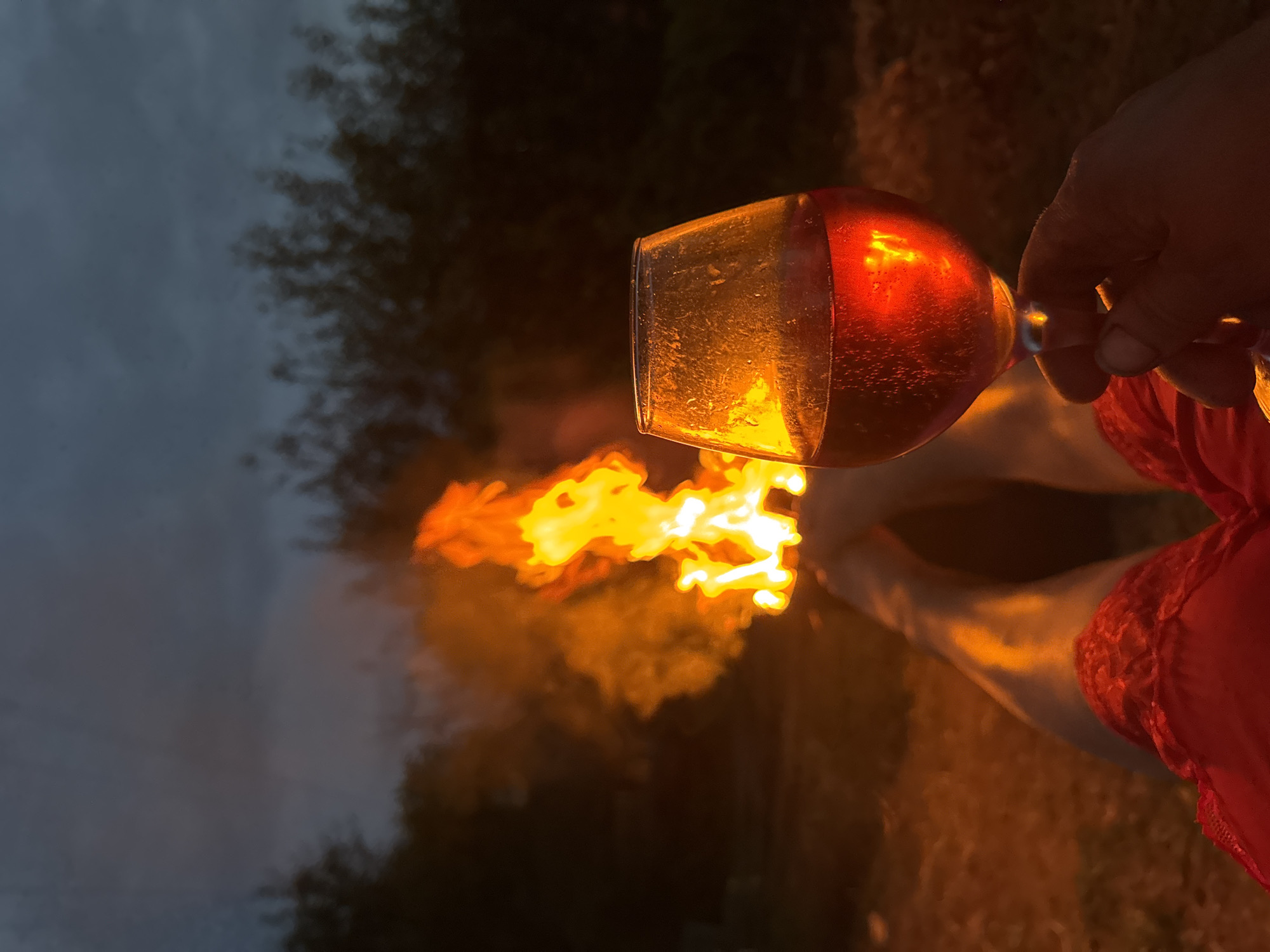 Evening bonfire party with wine and music in Chaikovsky