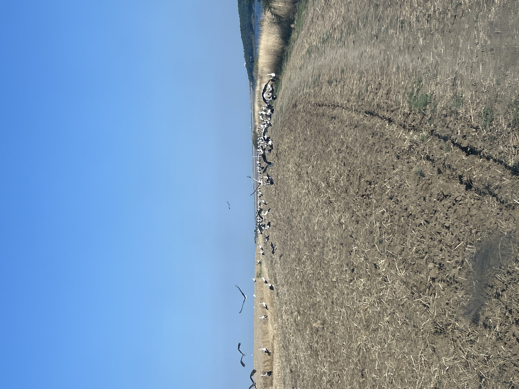 Orizare, Bulgaria