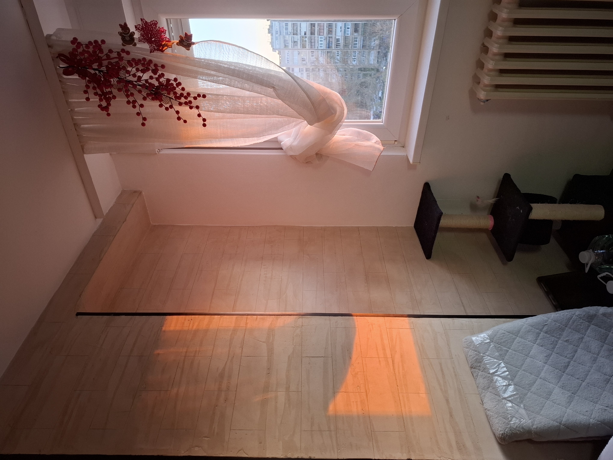 Sunlit room interior documented in Novi Sad apartment