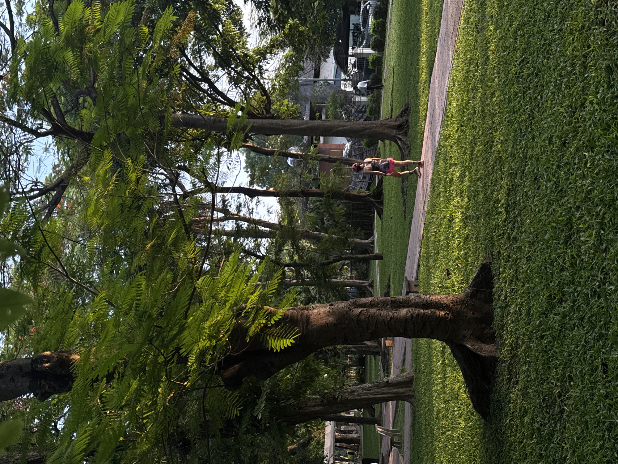 Morning scenes captured across Hà Nội parks and lake