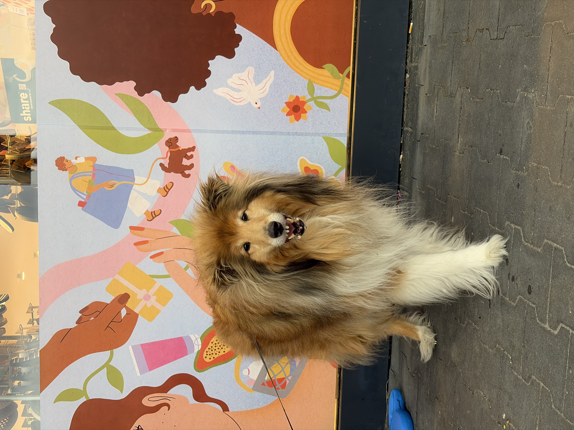 Golden-brown Collie poses in front of a colorful mural.