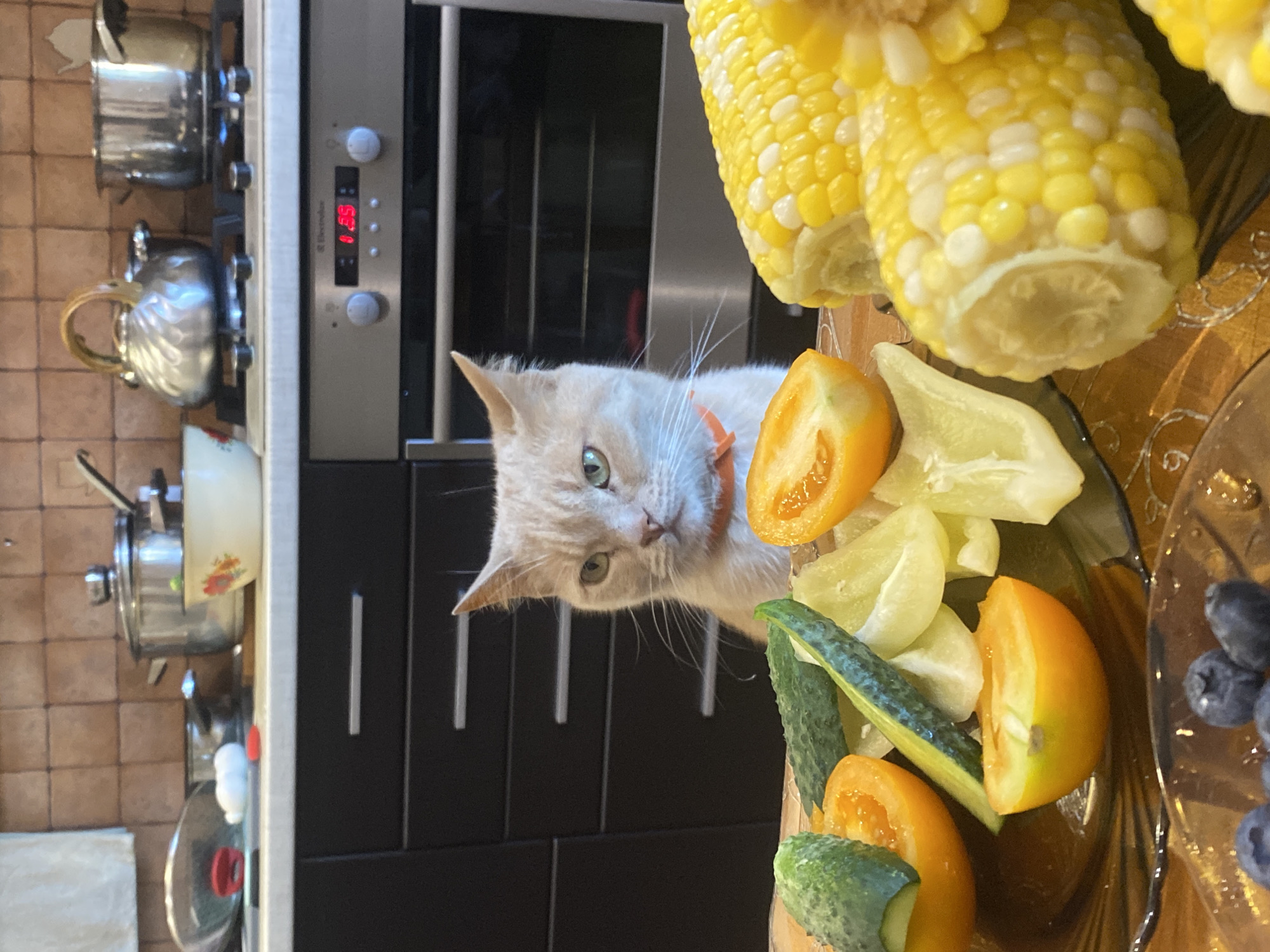 Tabby cat at a kitchen table full of fresh vegetables