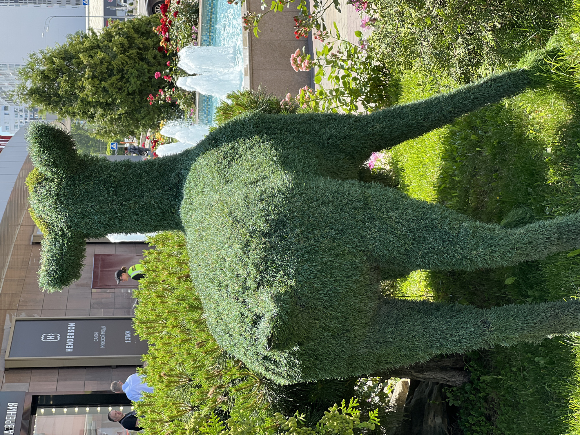 Morning stroll through blooming gardens and fountains in Krasnodar