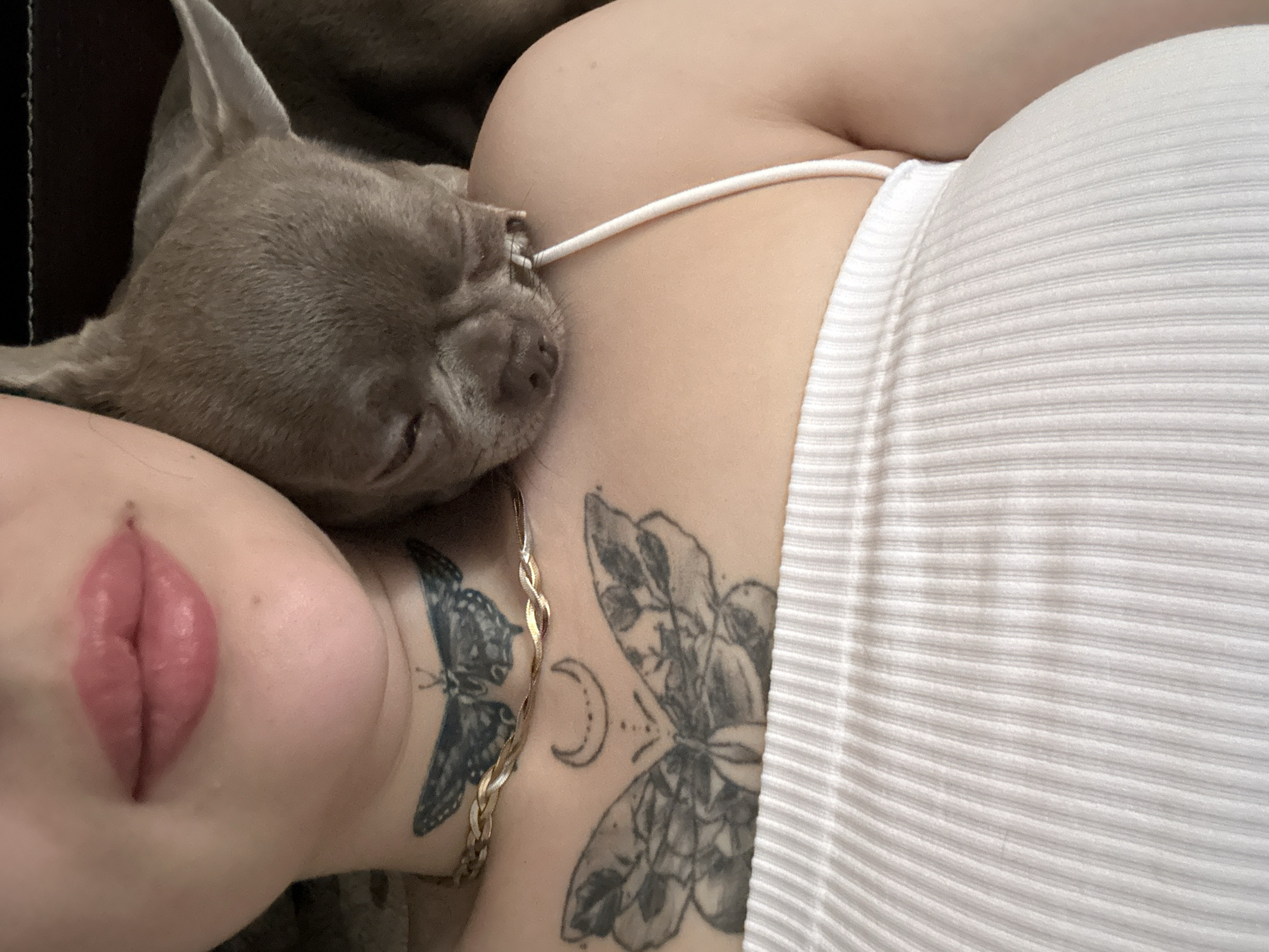Kyiv morning: selfies, a shoulder dog, and smoked salmon toast