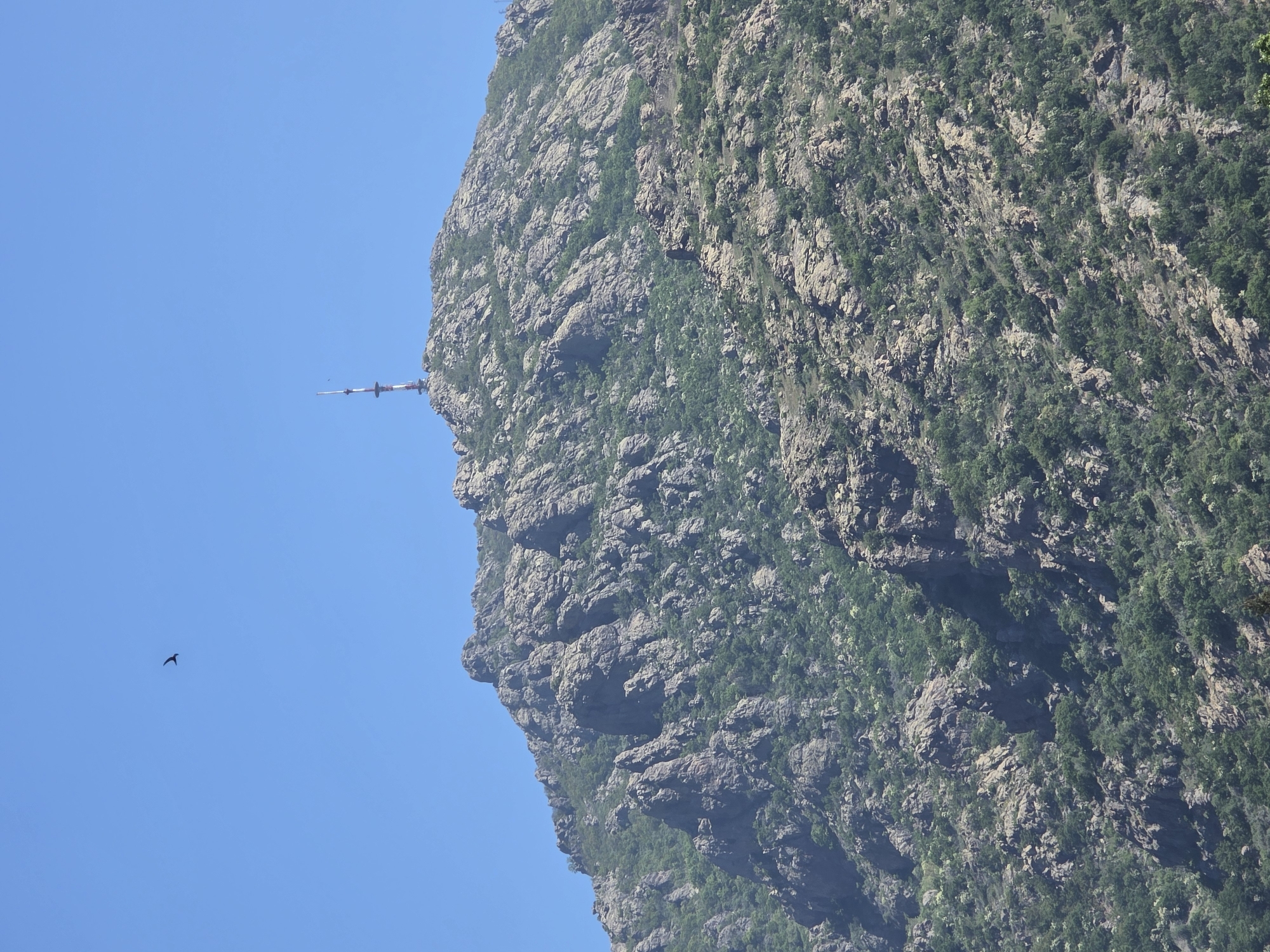 Bird flies near mountain with radio tower, clear sky