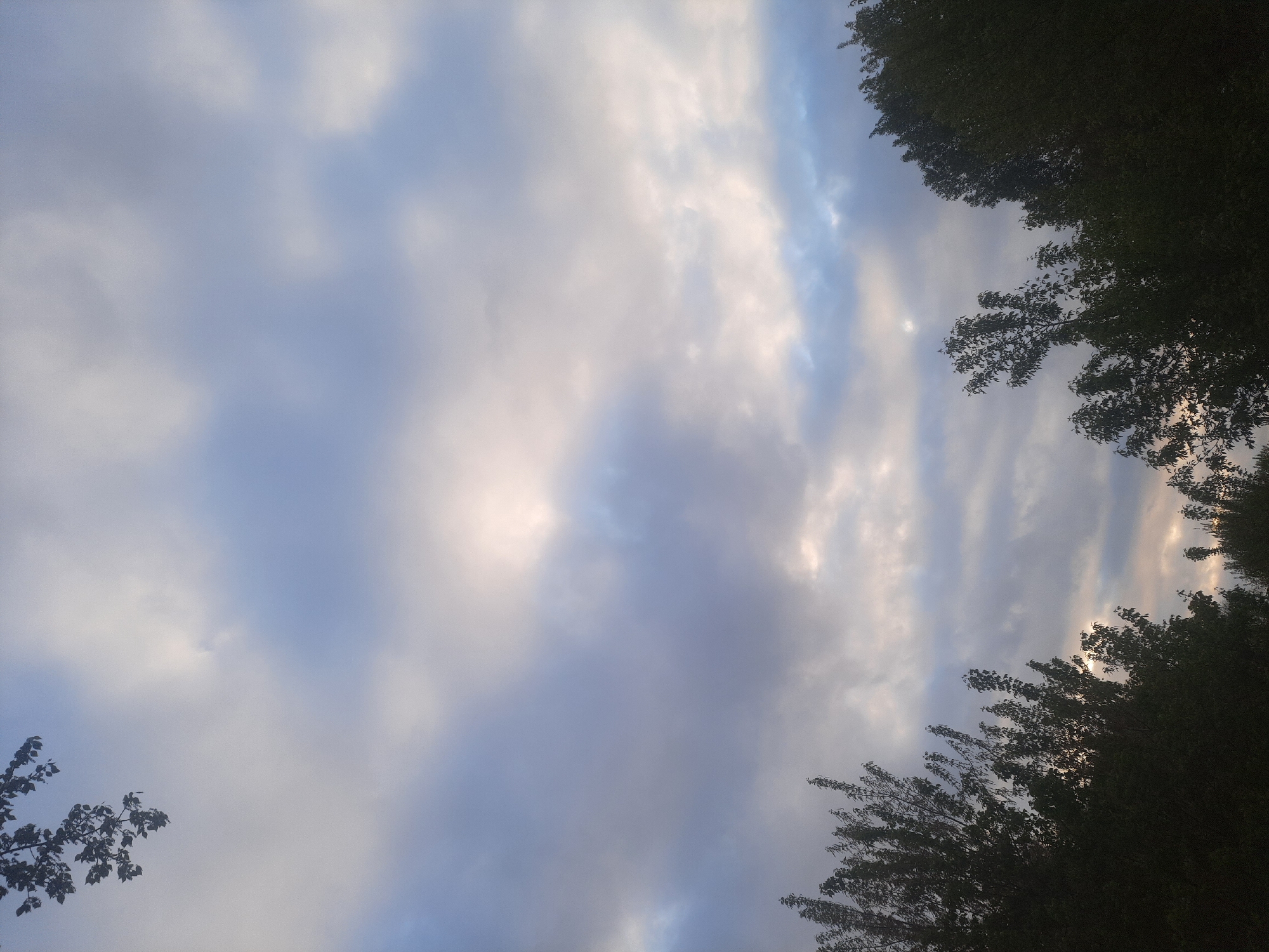 Ordinary afternoon scenes documented under cloudy skies in Barnaul