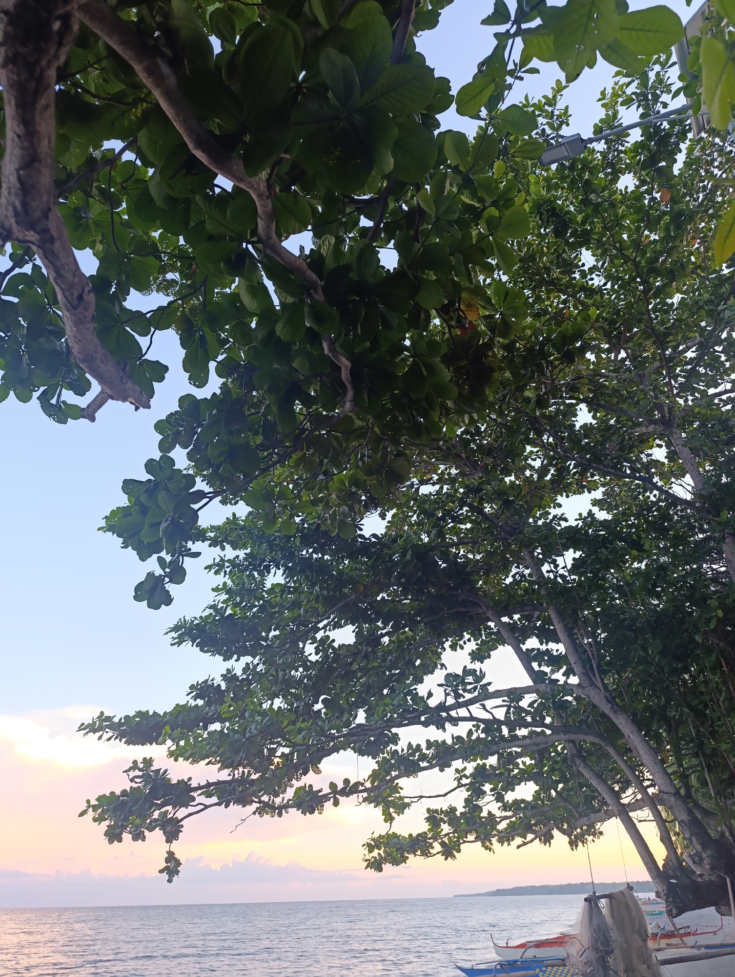 Morning coastal scenes captured in tropical location