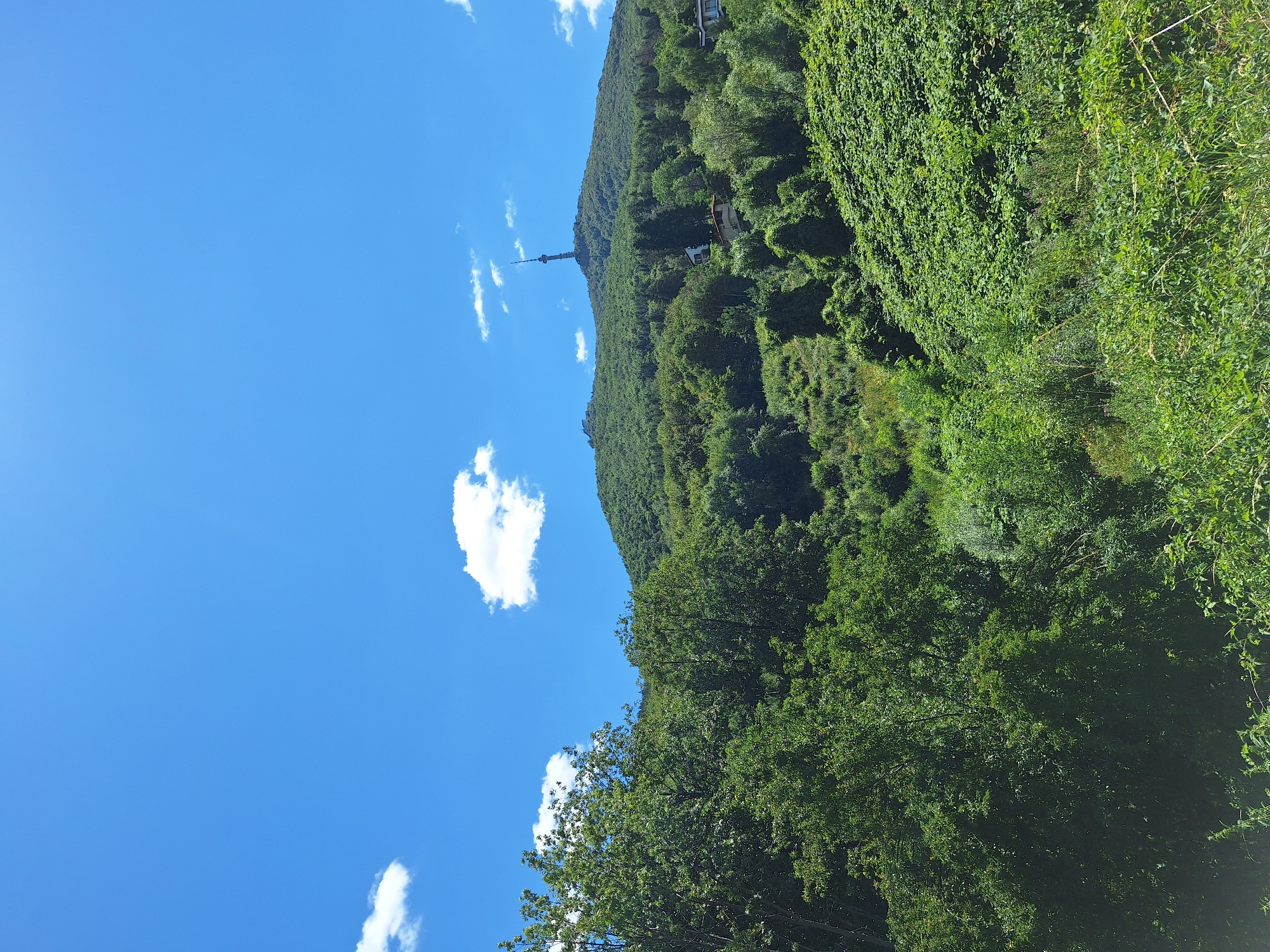 Lush hillside panorama on the outskirts of Sofia
