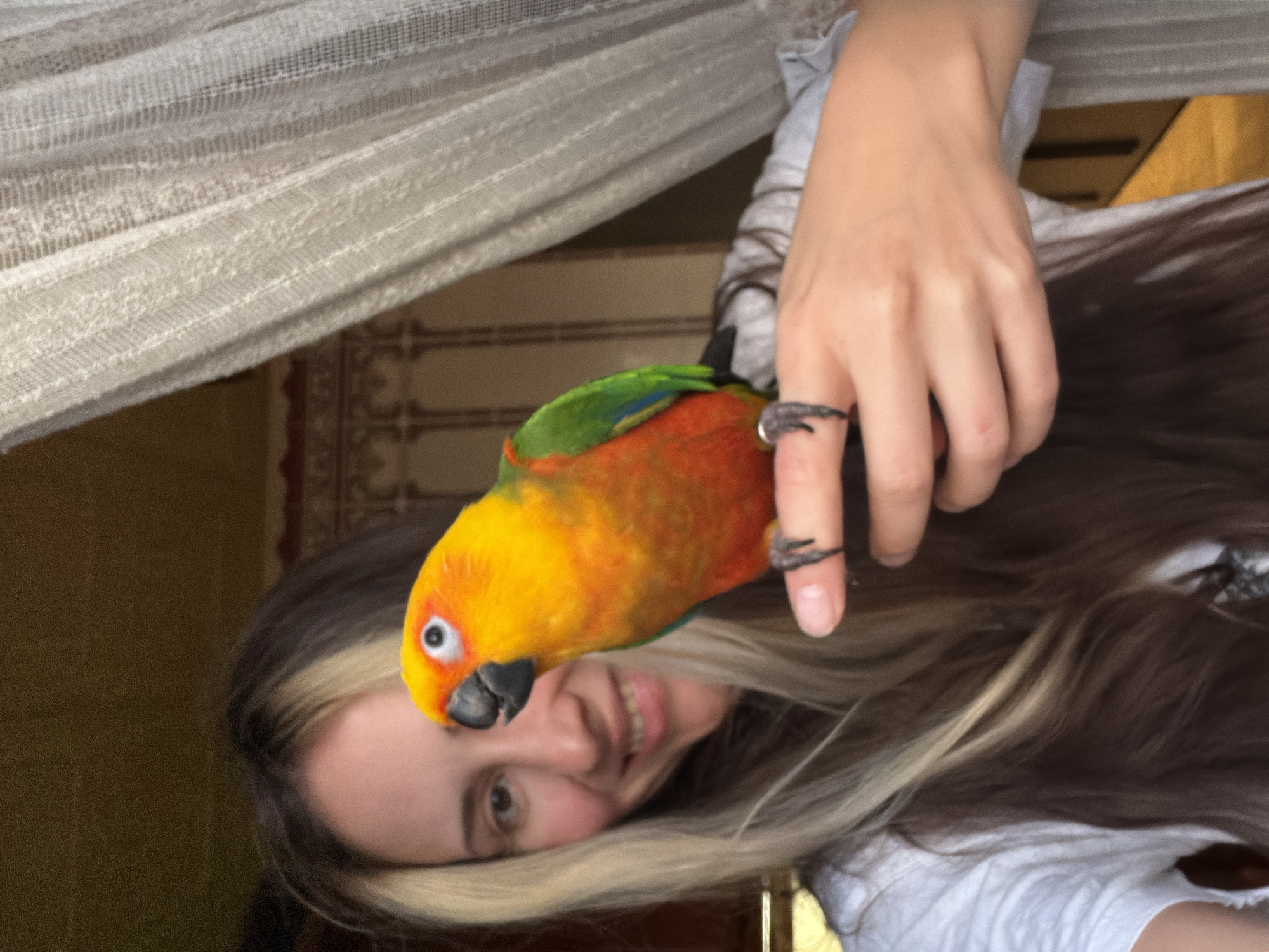 Basketball and golden-hour Khimki, with a parrot in the mix