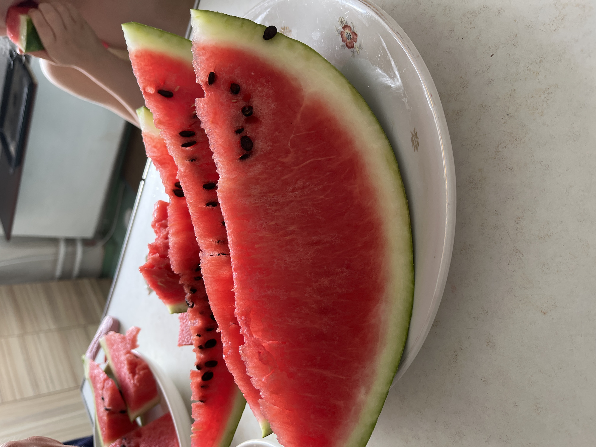 Lazy summer morning at home: watermelon, cats, and everyday life