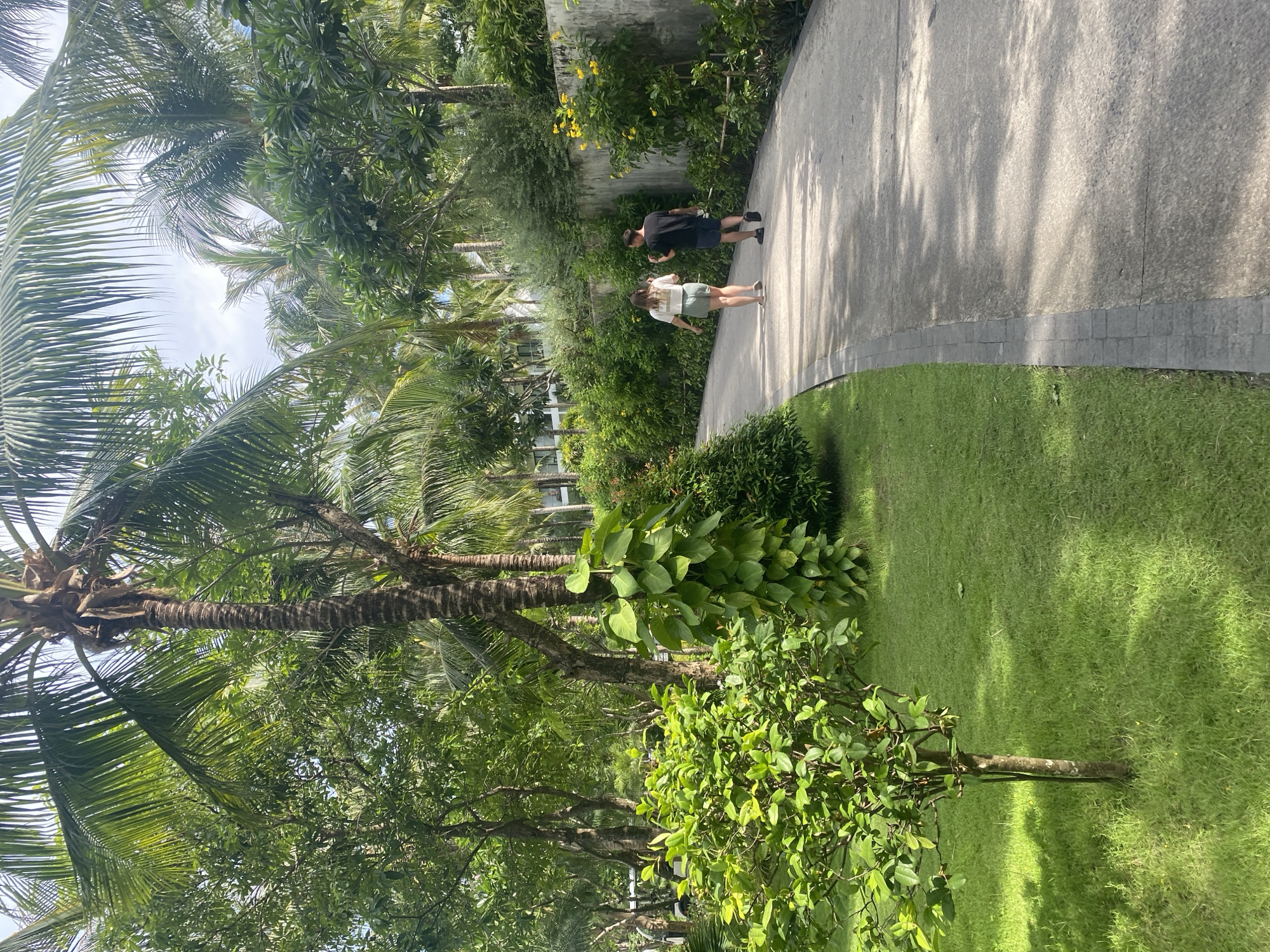 Couple walks through tropical gardens in Vietnam coastal ward