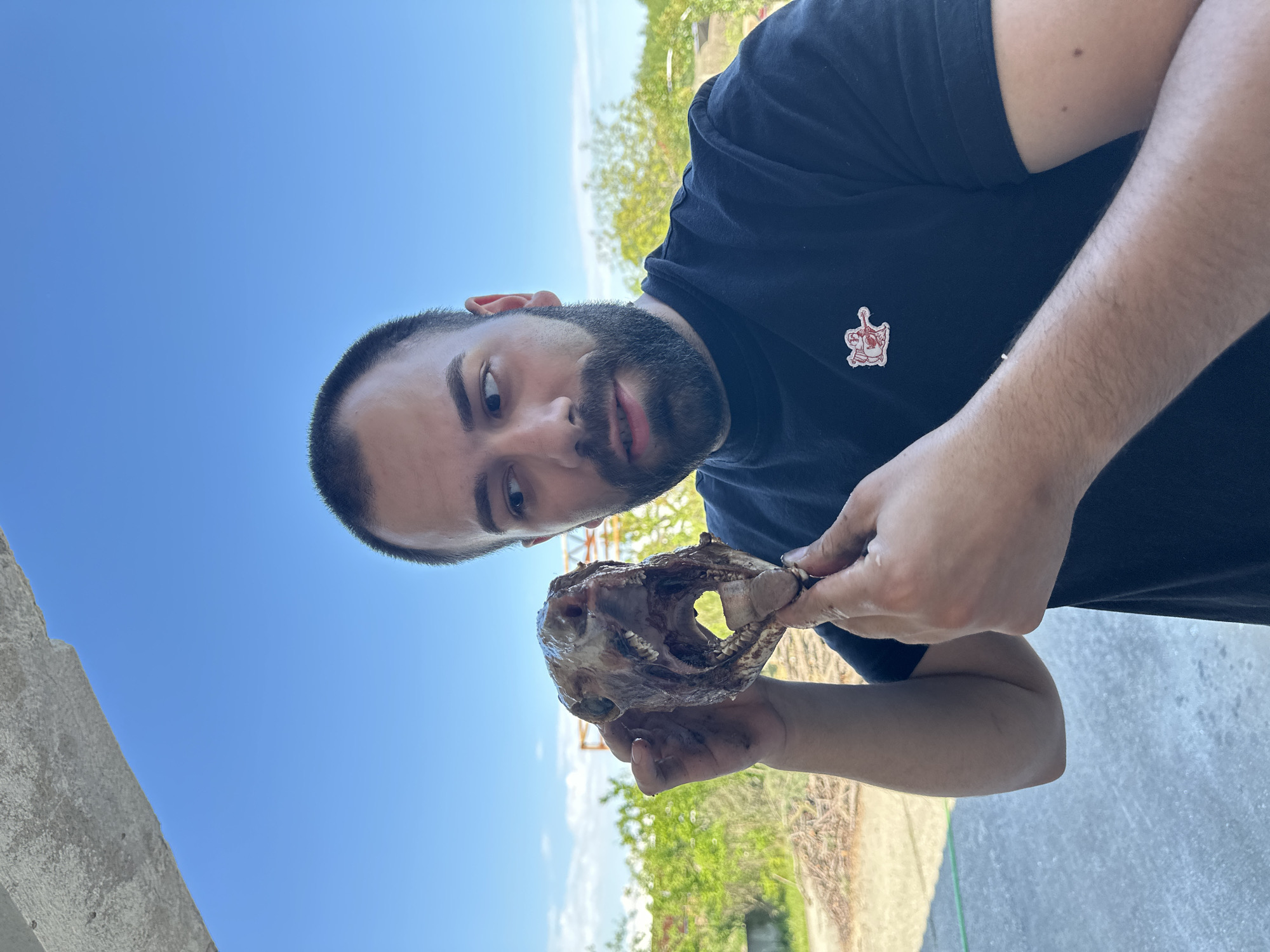 Outdoor moments captured in Bulgarian town: skull examination, couple's embrace