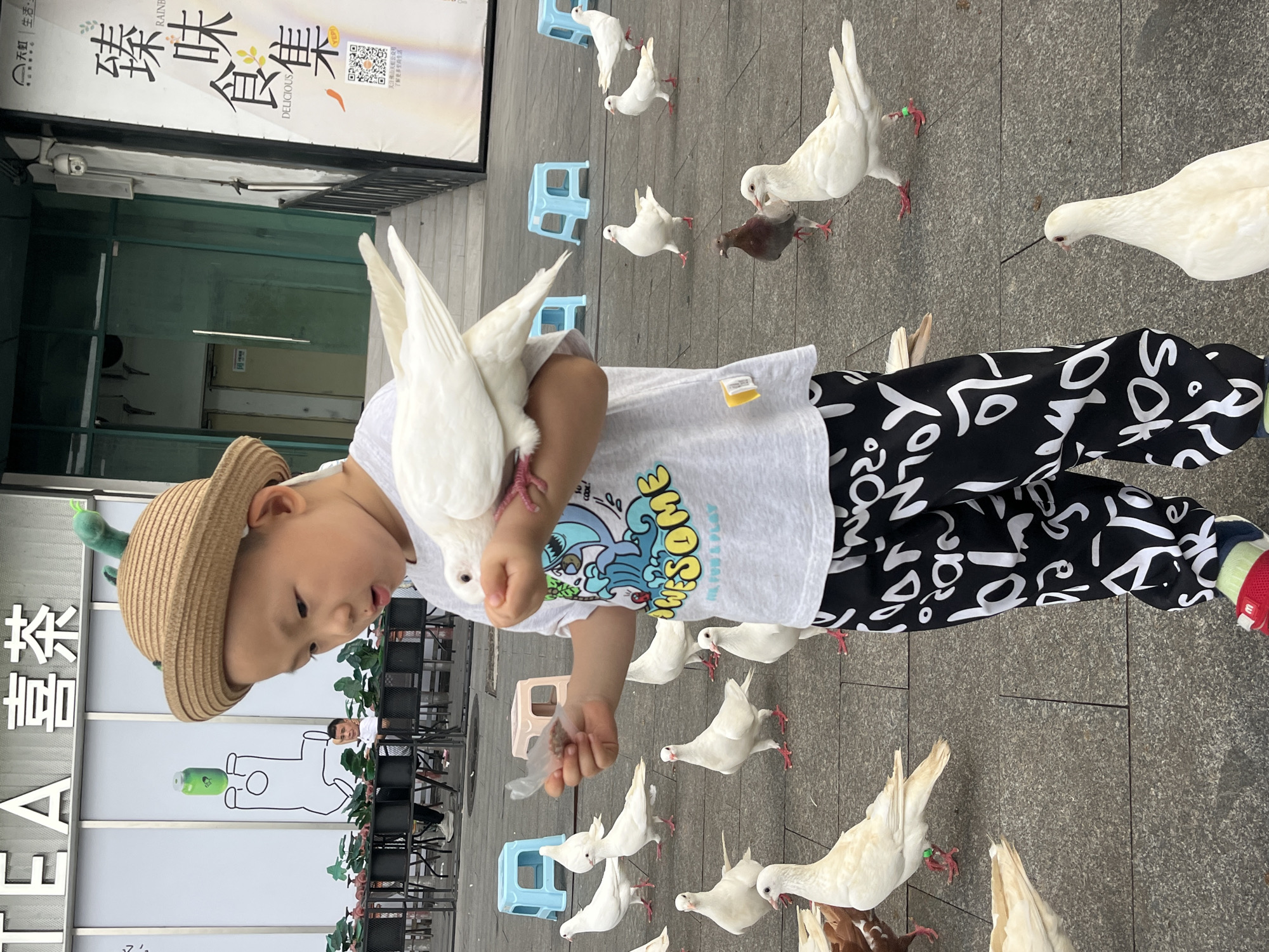 Feeding pigeons in a Chancheng plaza, dinosaur hat and all