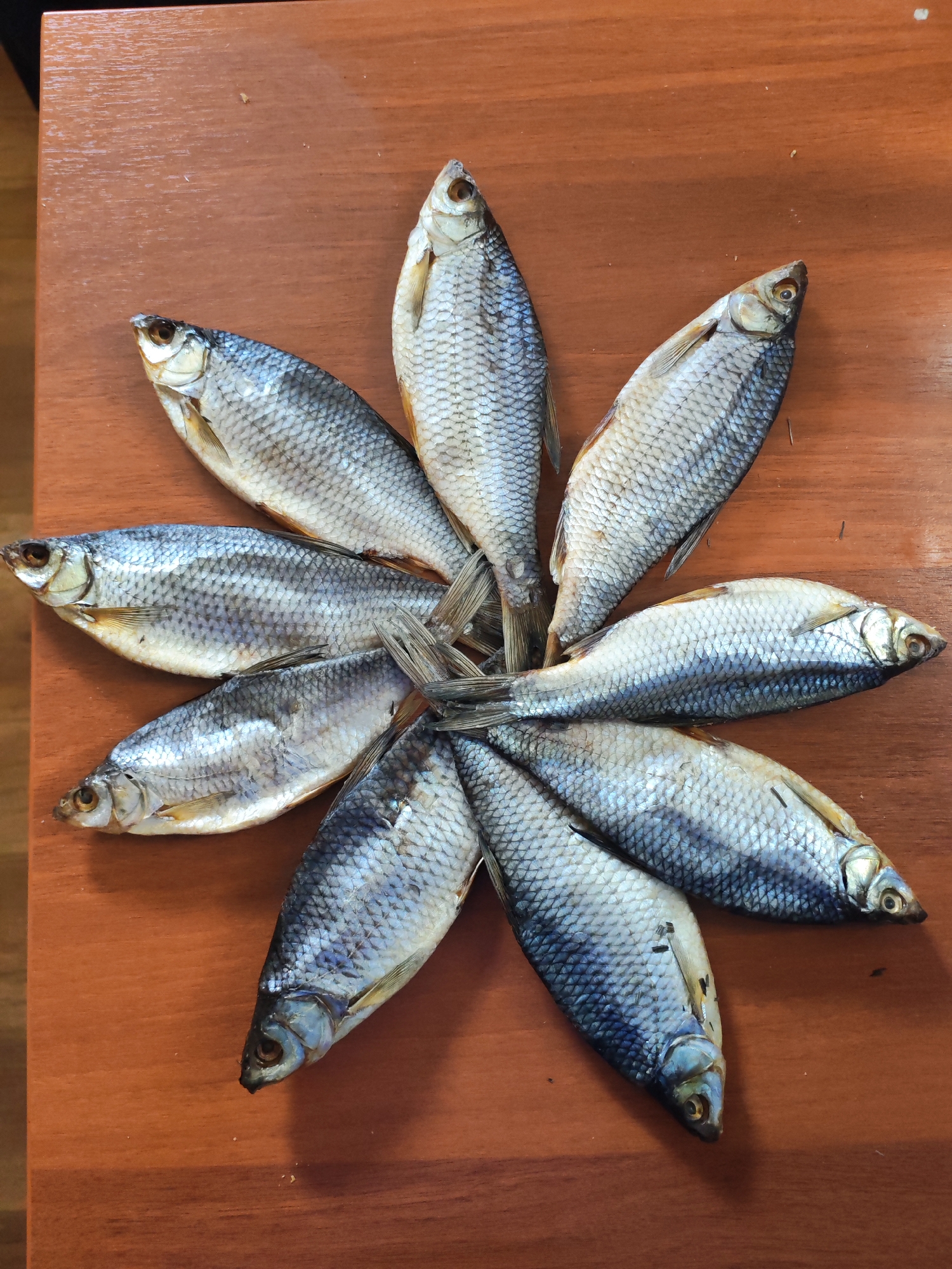 Fishing expedition documented with catch, currency, boat observations