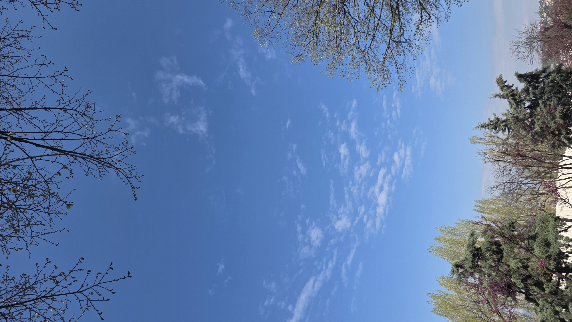 Quiet morning moments captured in Blagoevgrad: sky views, resting dog