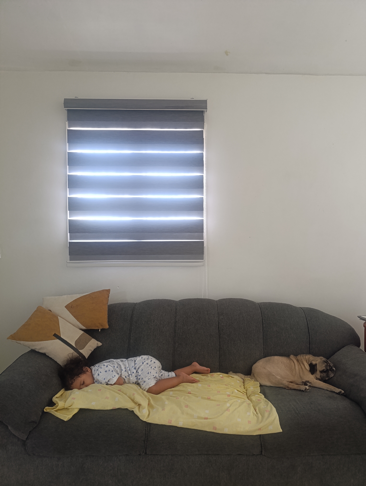 Child and pug share quiet nap on sofa in Tinaquillo