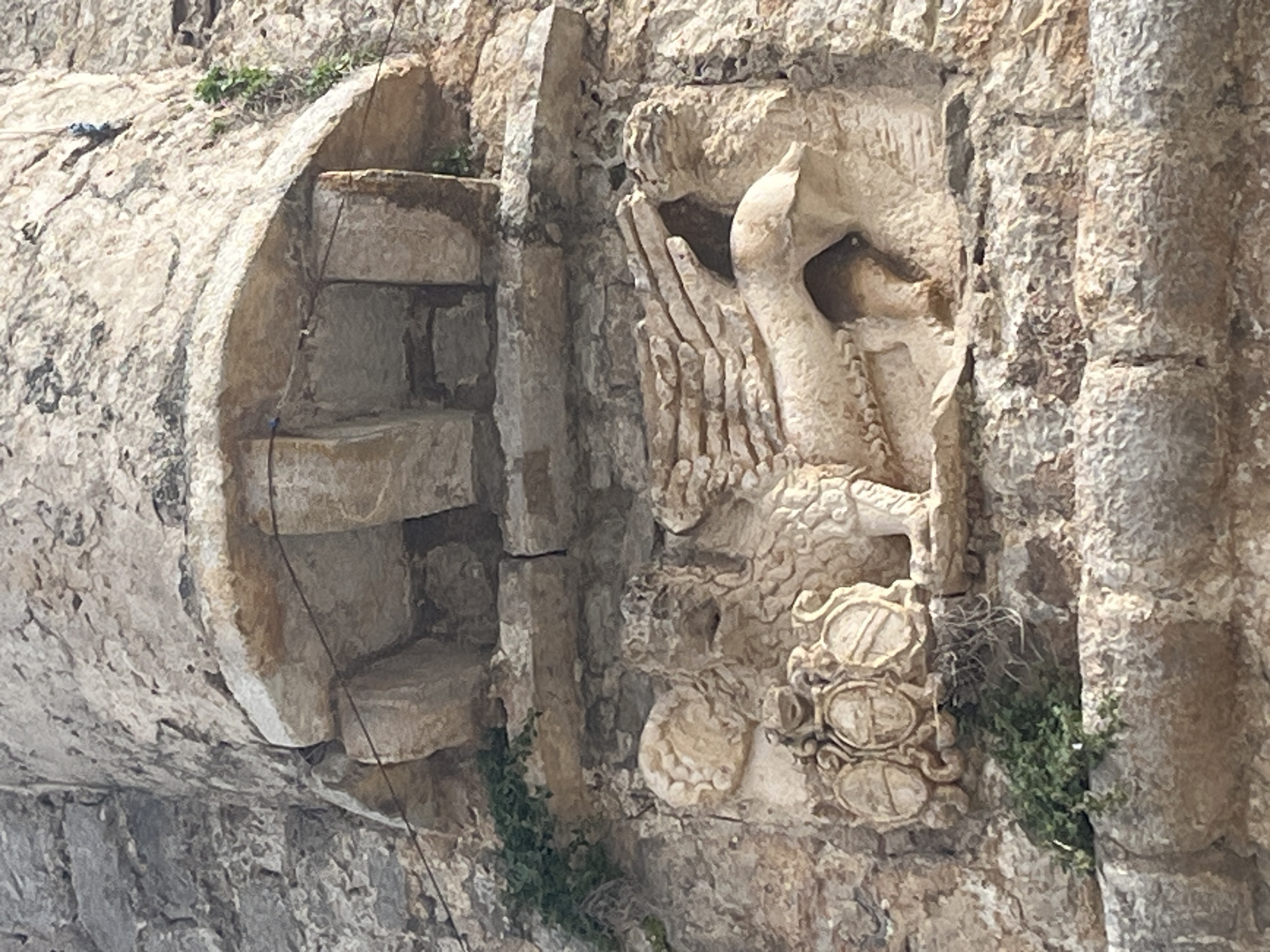 Stone griffin sculpture observed on historic wall in Budva