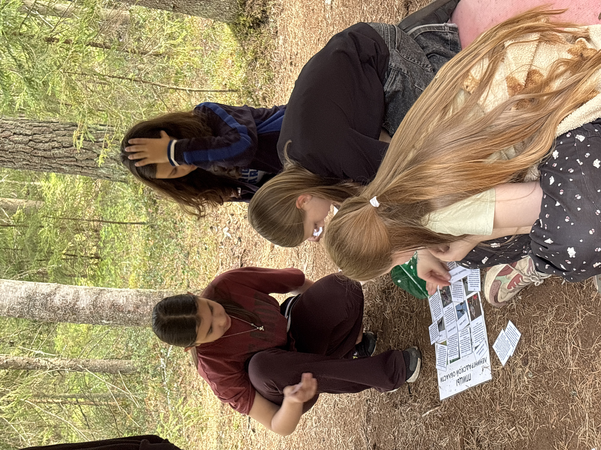 Young women gather for outdoor educational activity in Russian woods