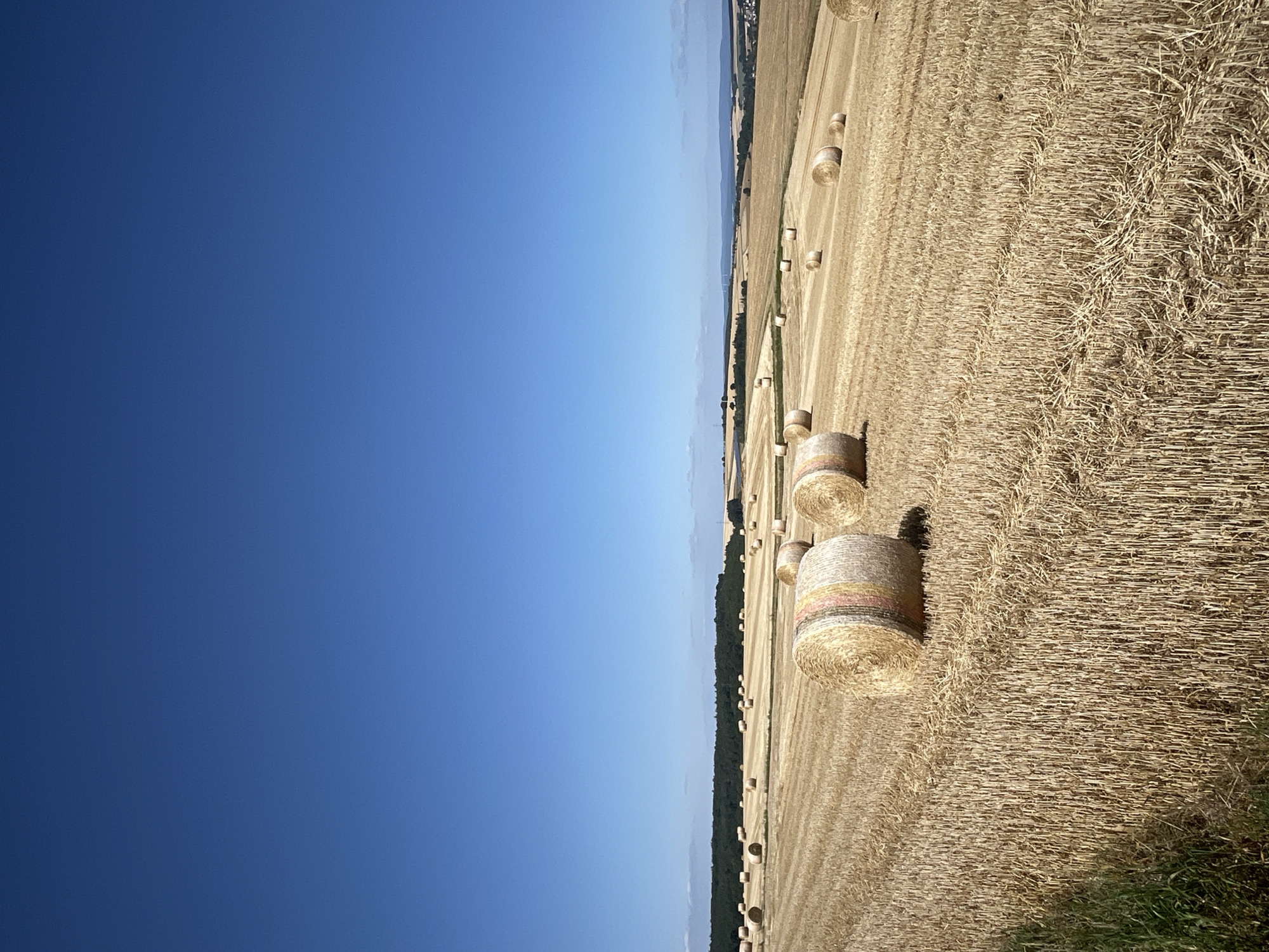 Round hay bales scattered across a harvested field in rural Germany