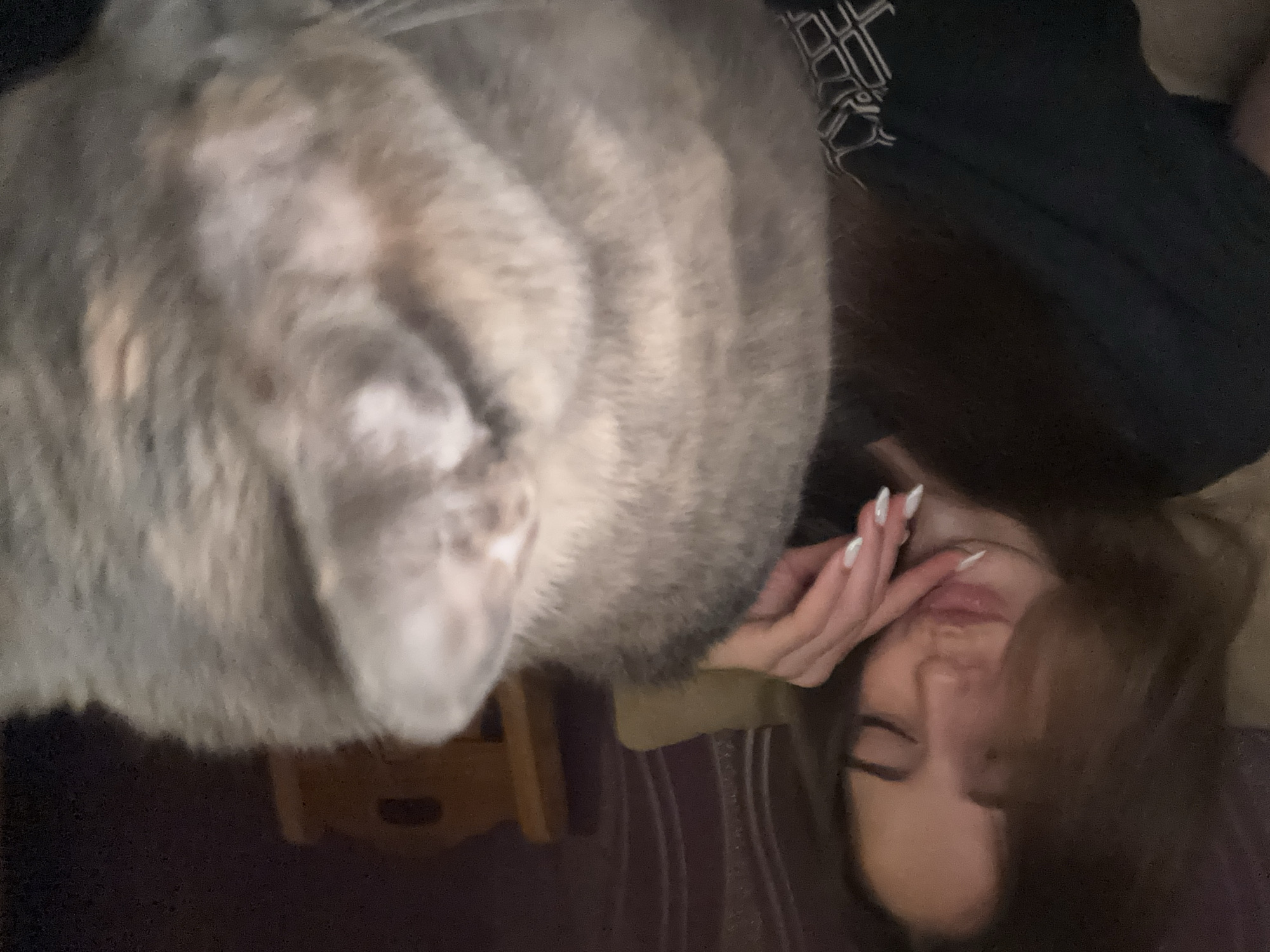 Woman and cat rest together on bed in Pernik