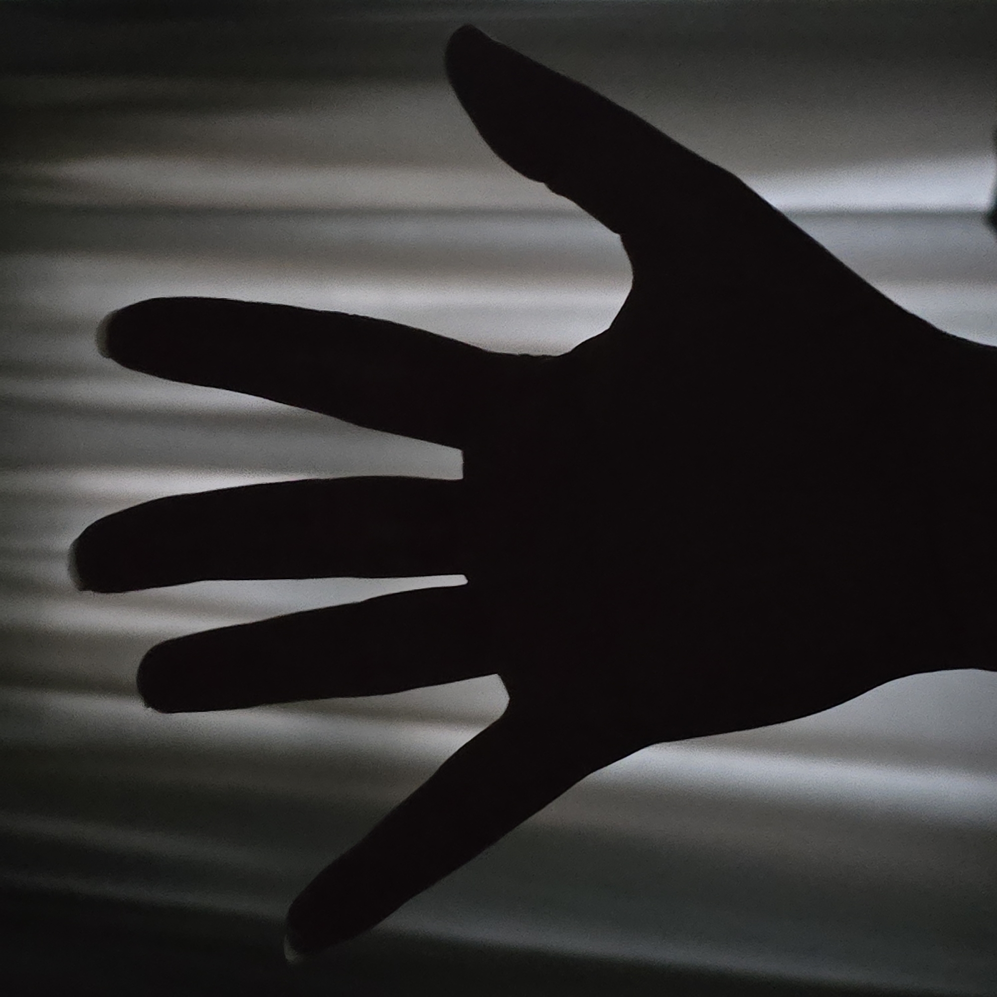Silhouetted hand photographed in low light conditions early morning