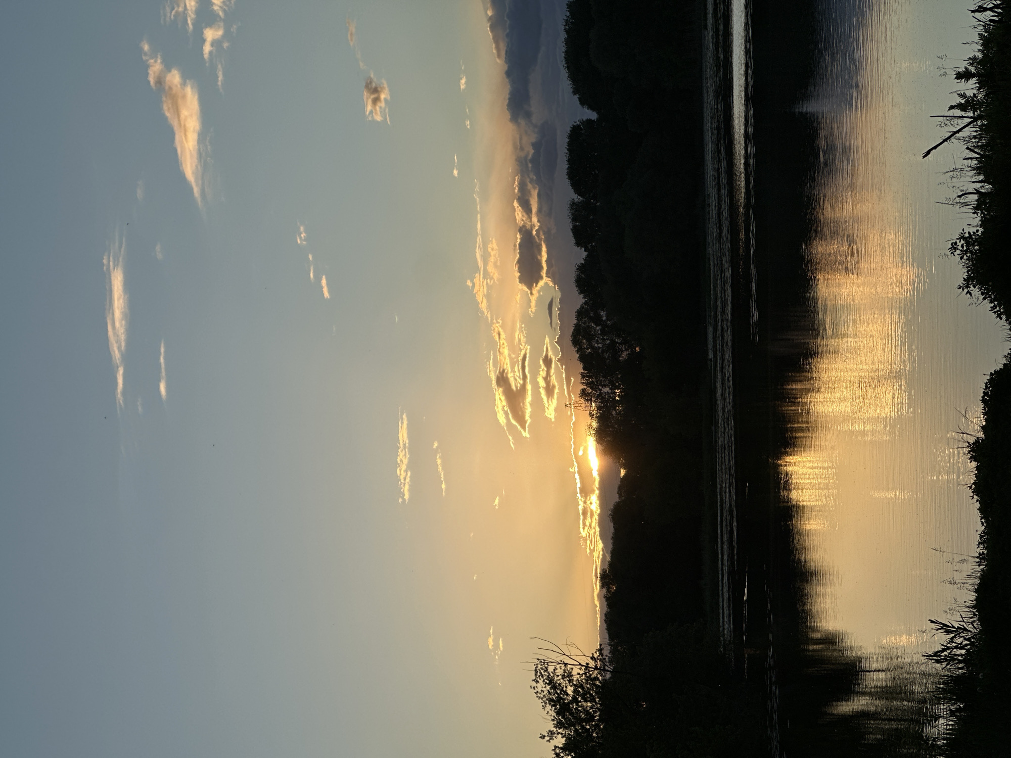 Sunset waterfront scene with duck and apartments captured