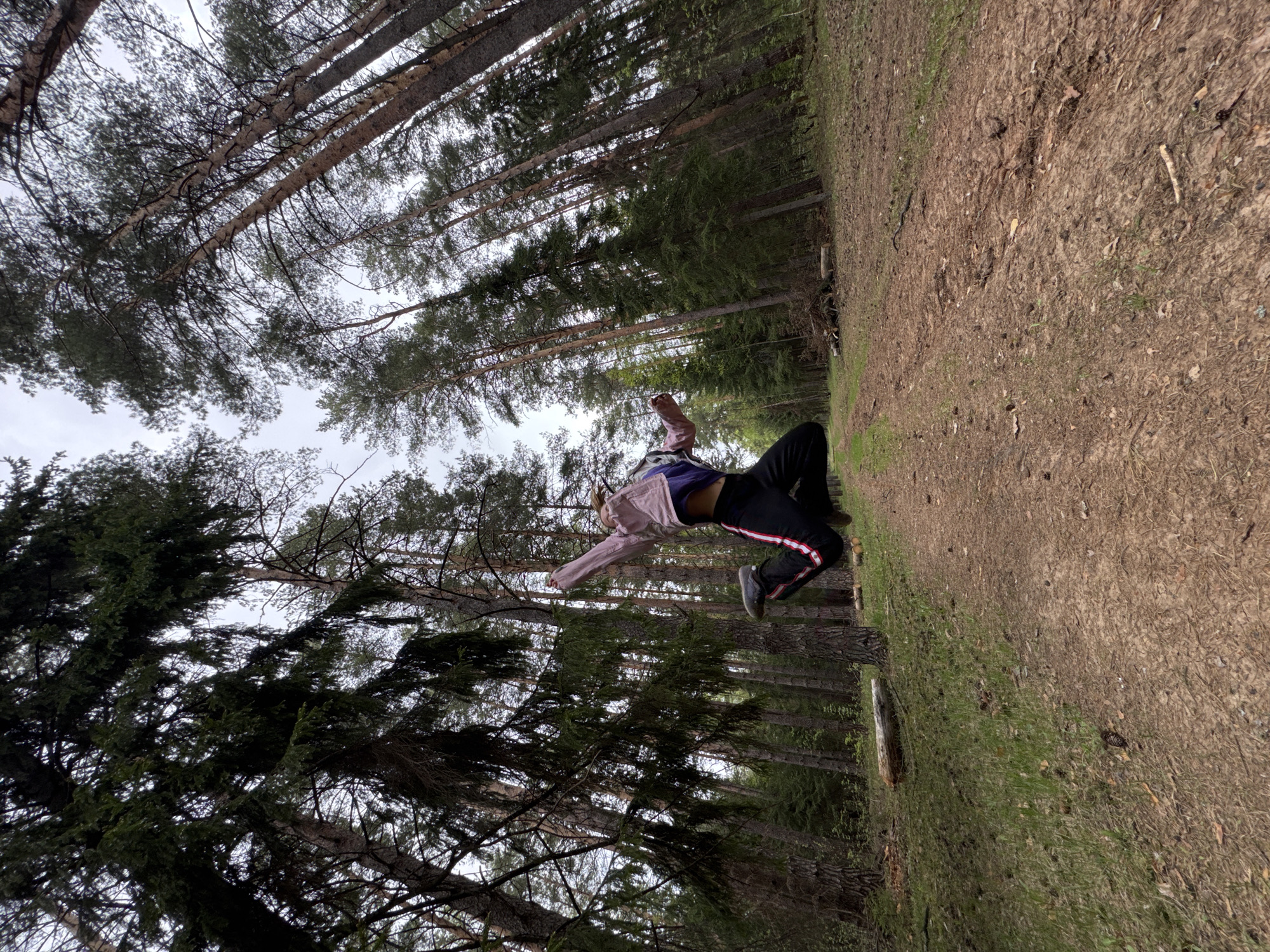 Morning forest recreation and acrobatics documented in Прикамский, Russia