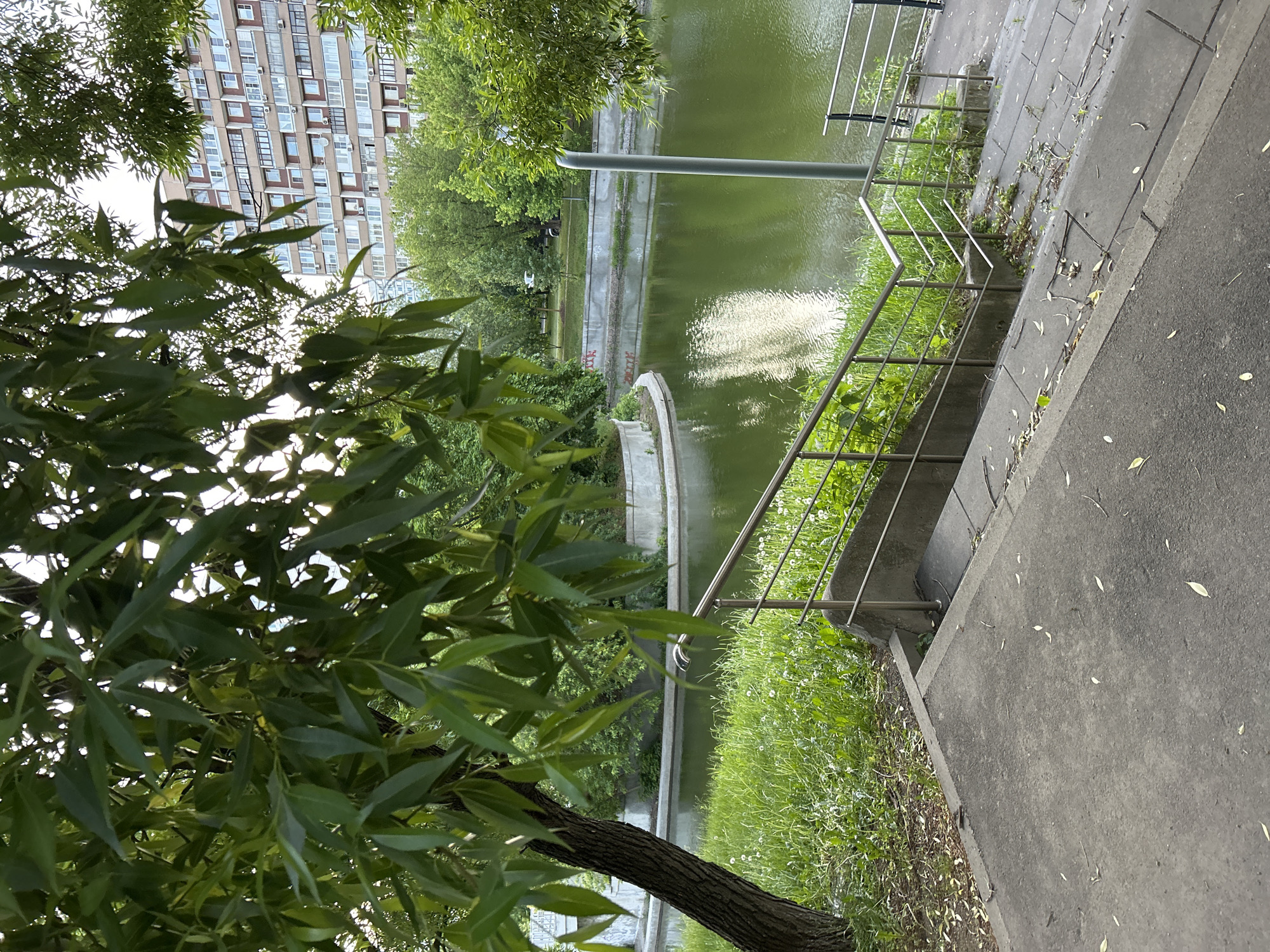 Urban waterfront with green water and walkway documented