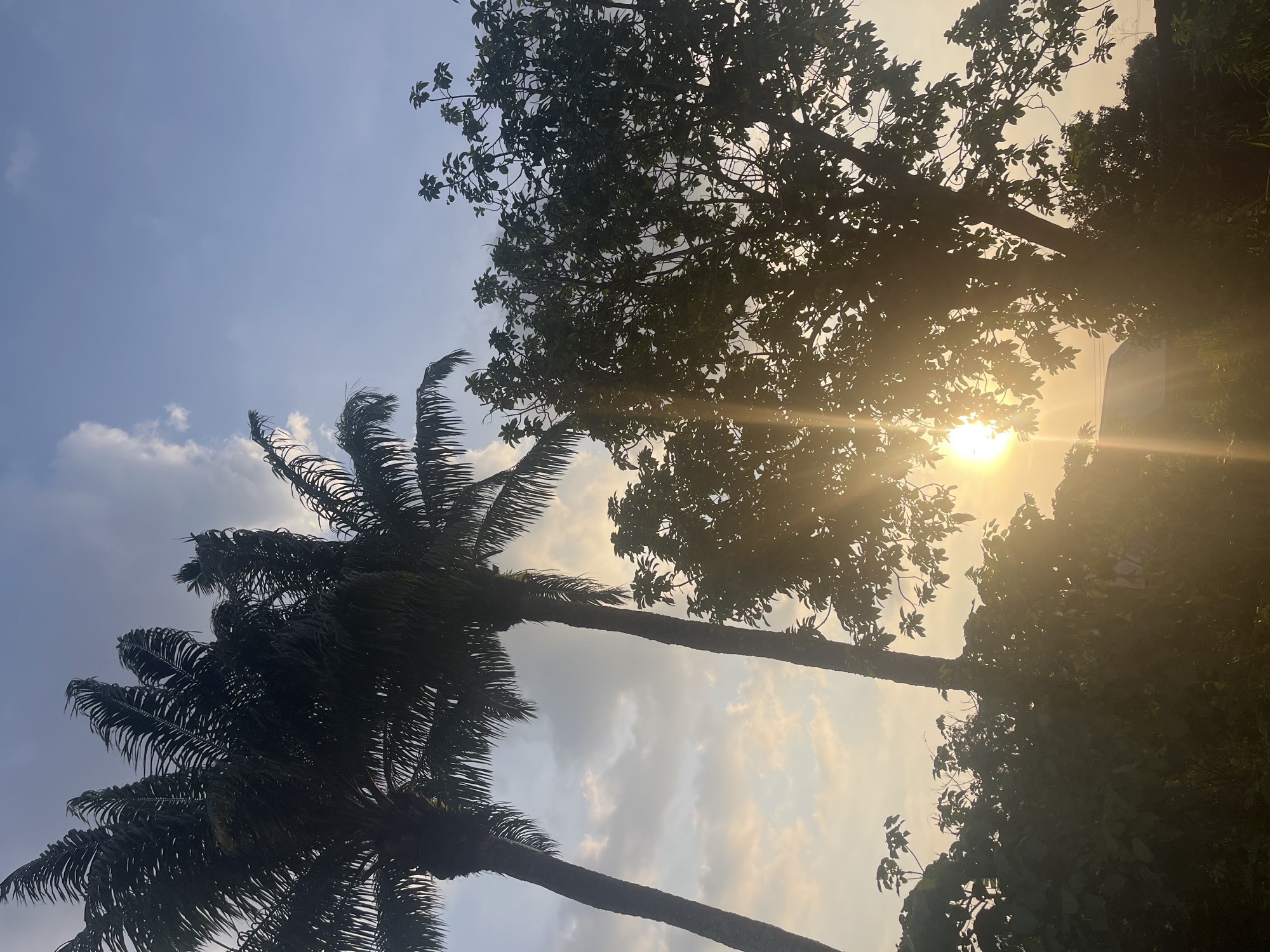 White dog documented by witnesses in Ikot Ekpene, Nigeria
