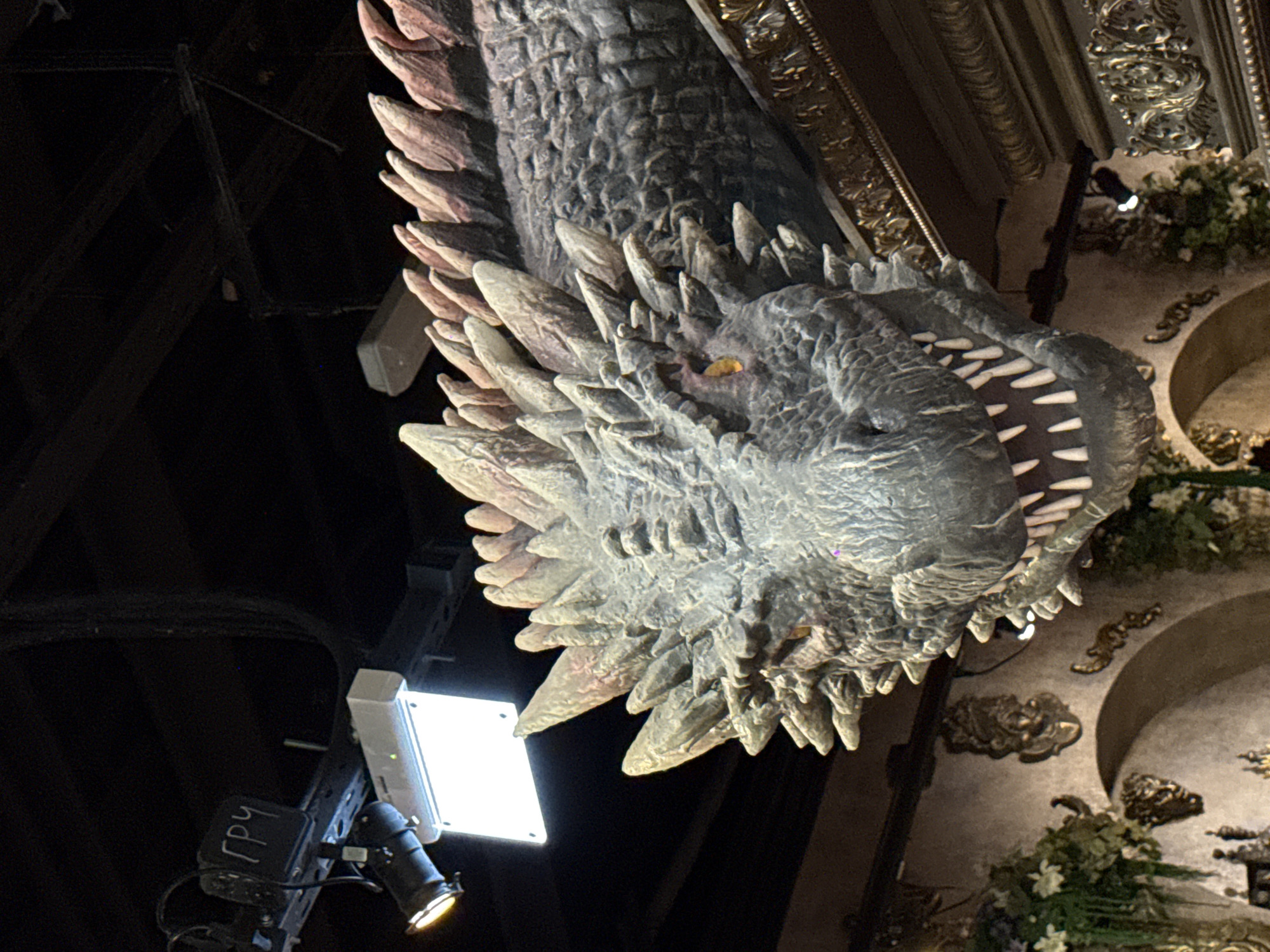 Moscow museum visitor captures dragon decorations and cultural exhibits