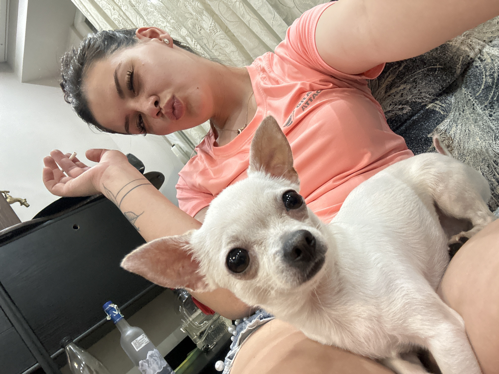 Selfie moment with a white chihuahua in Sliven, Bulgaria