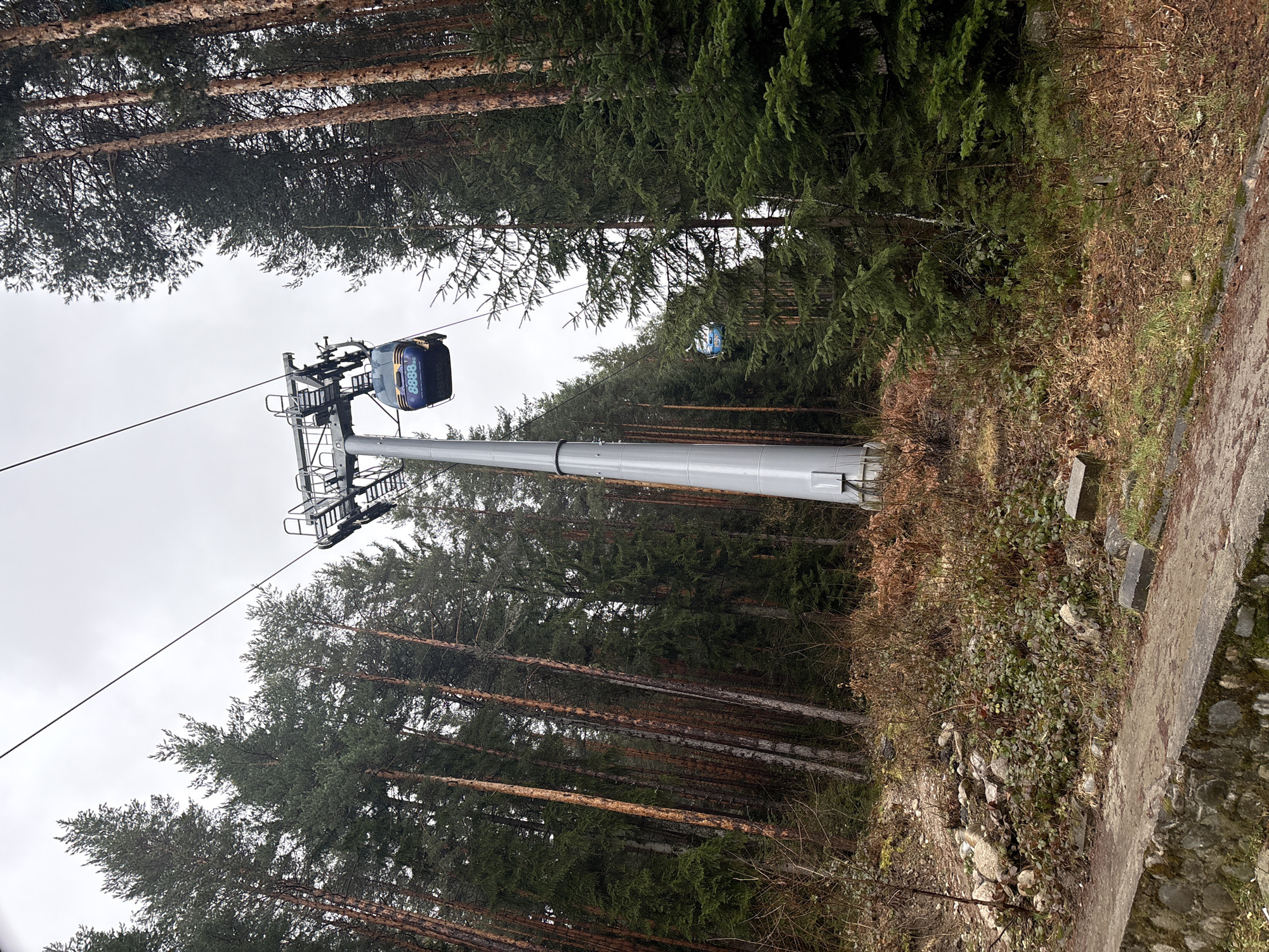 Gondola lift operates through forest near Bansko resort