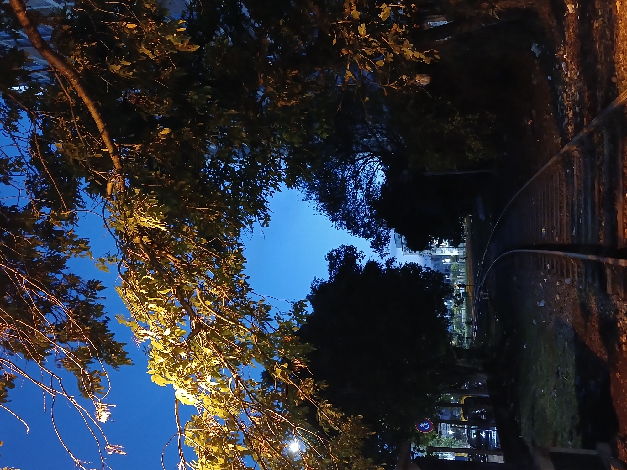 Evening street life documented across Buenos Aires neighborhoods