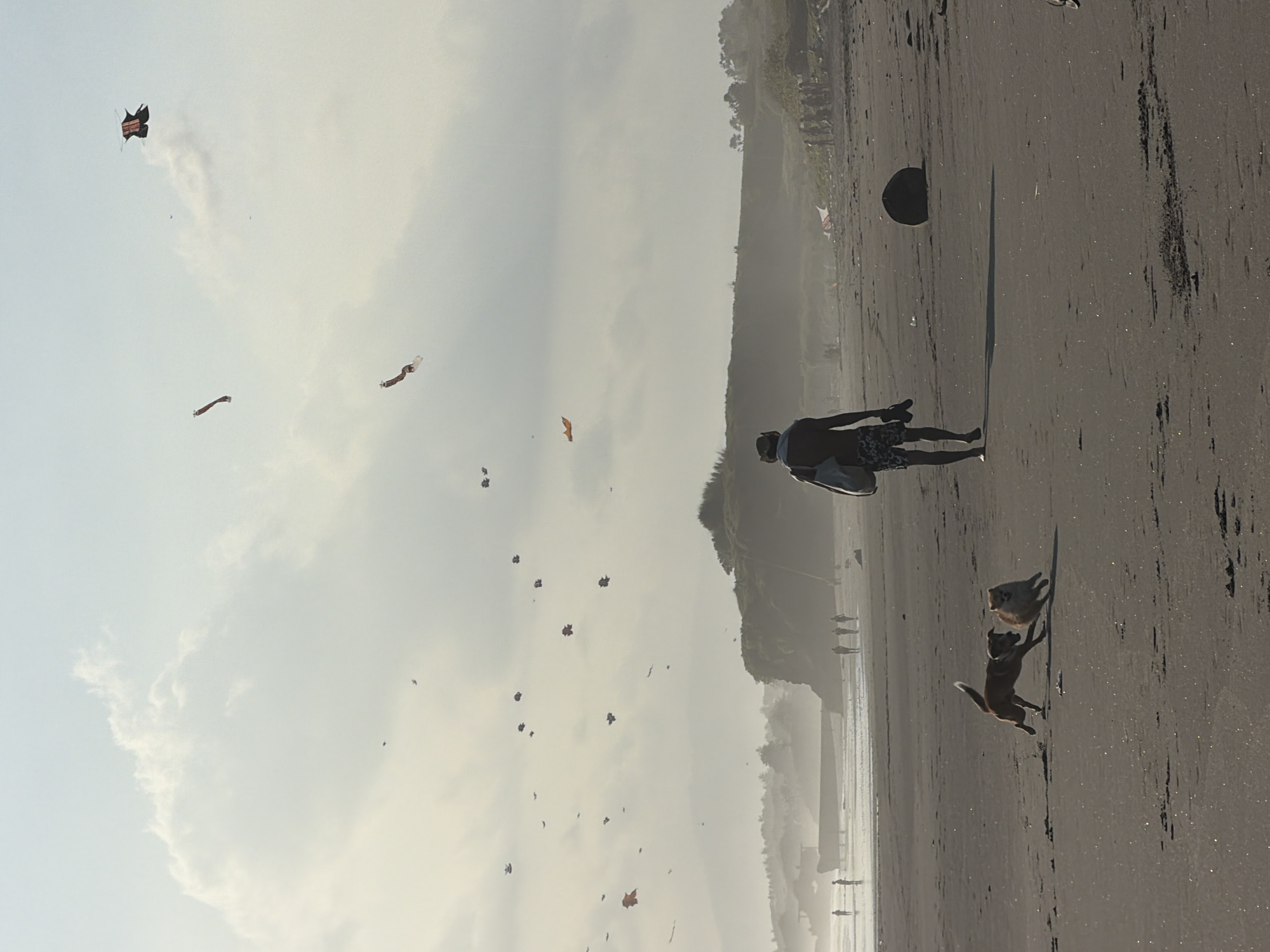 Colorful kites fill the hazy sky over a Kediri beach