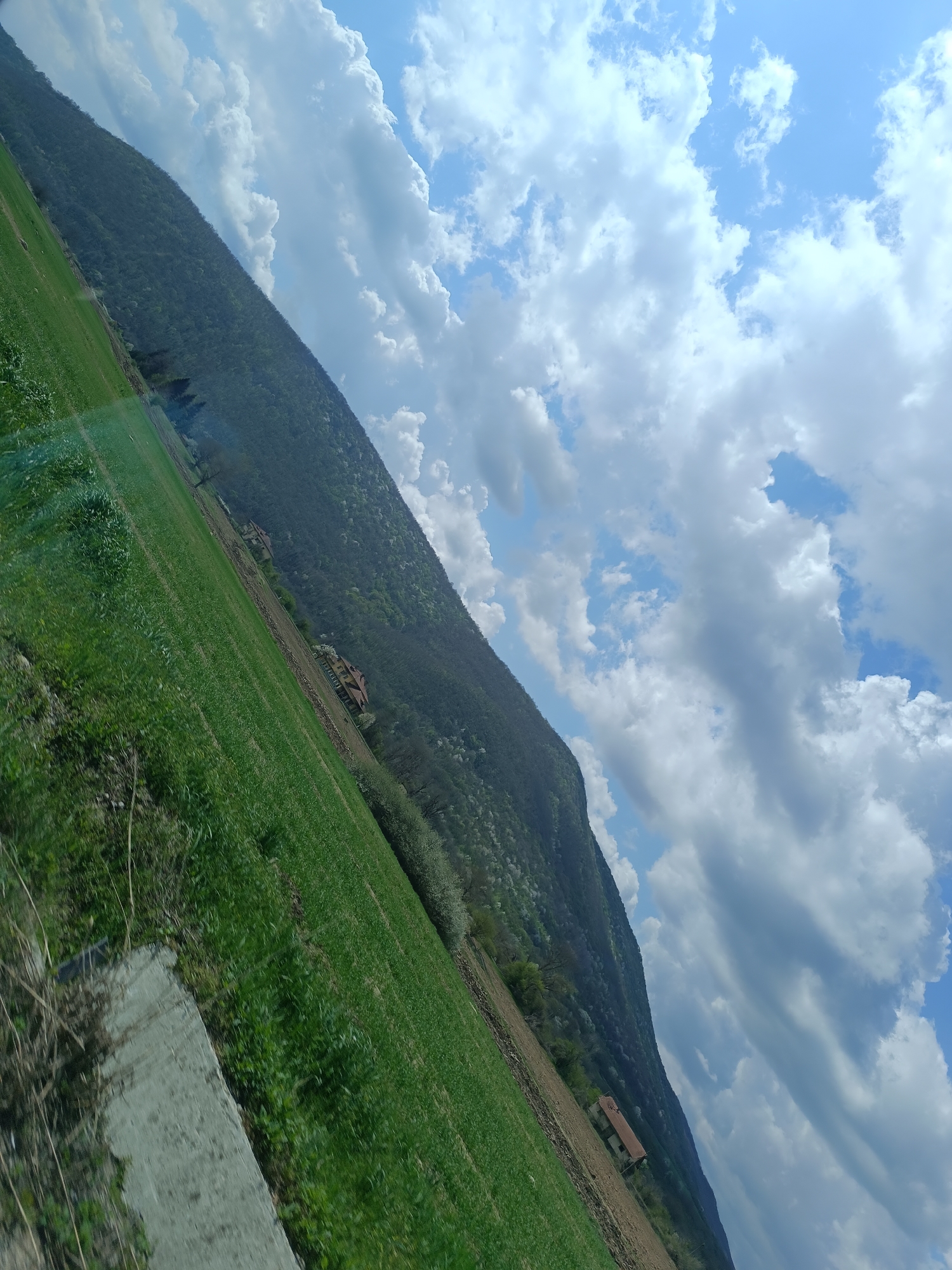 Car journey through mountains with cocker spaniel companion documented