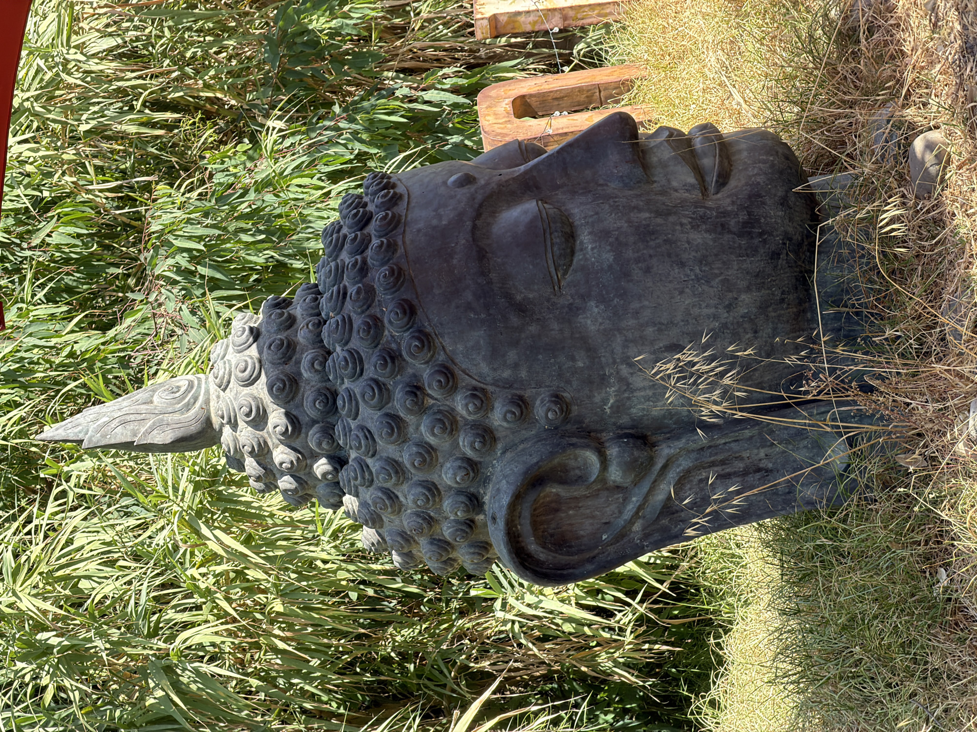 Buddha statue, wetlands, and modern architecture around Estepona