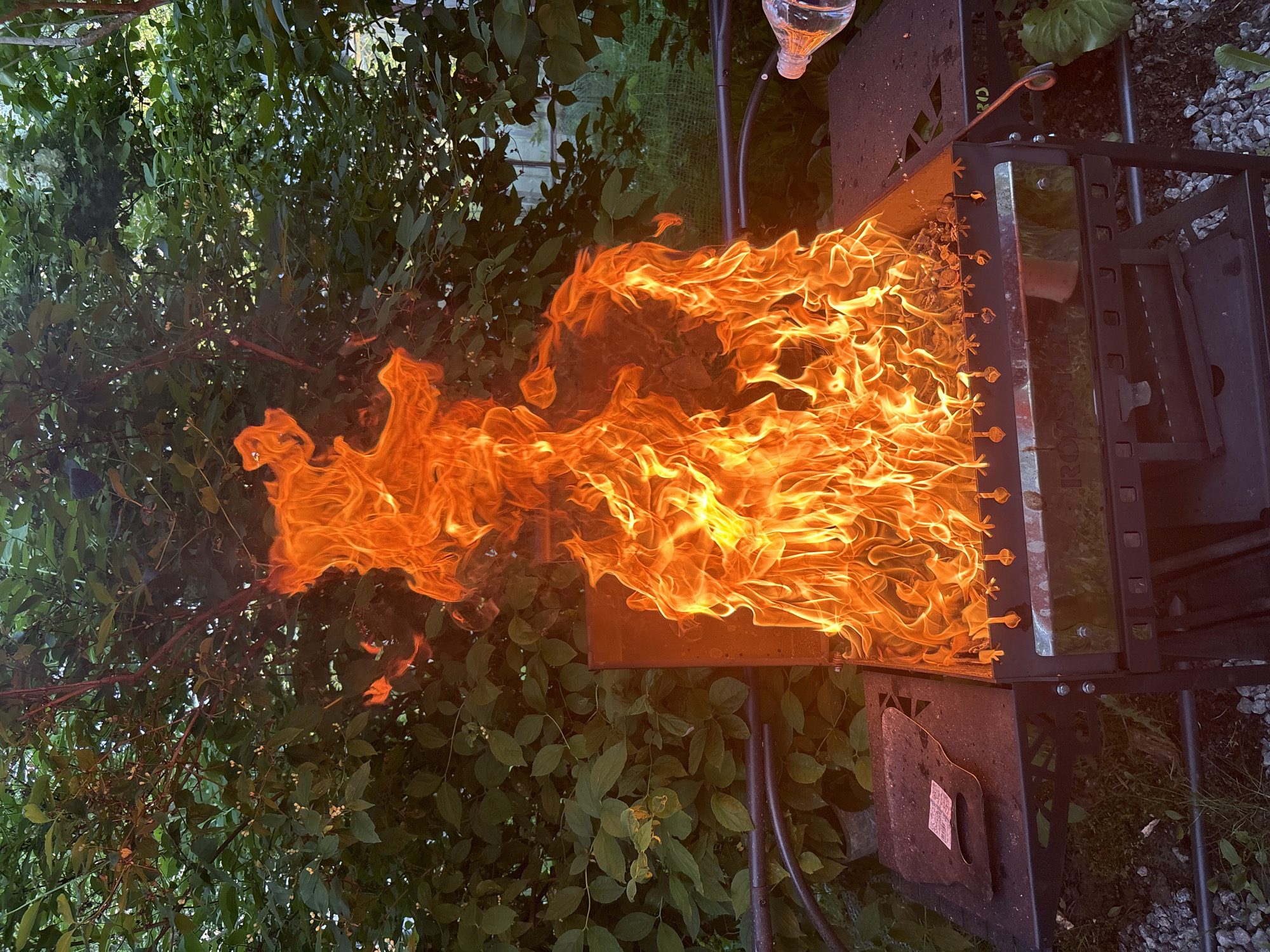 Backyard barbecue and garden documentation in Leningrad Oblast