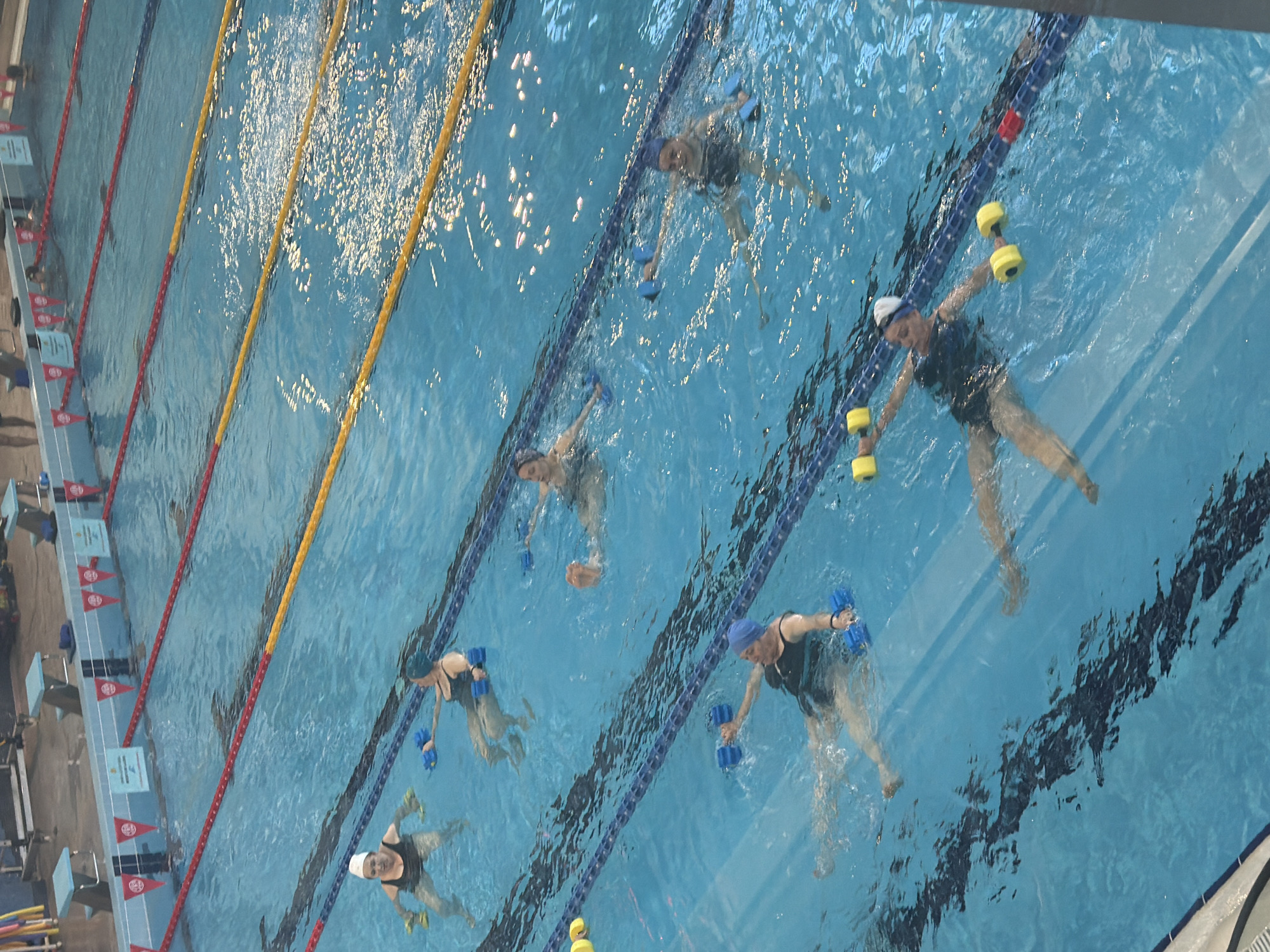 Morning scenes captured in Yerevan: water aerobics, blooming roses