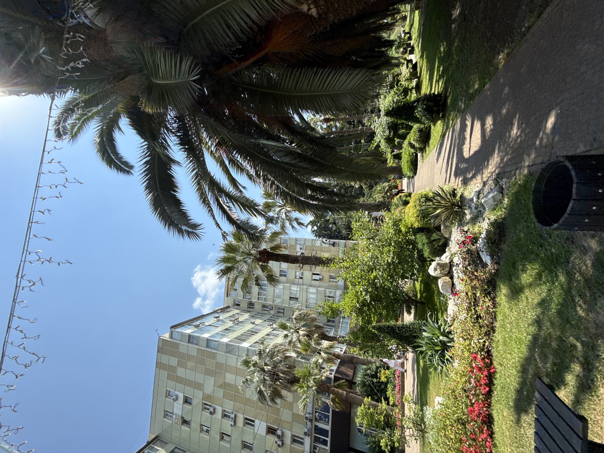 Summer morning along Sochi's sunny pedestrian promenade