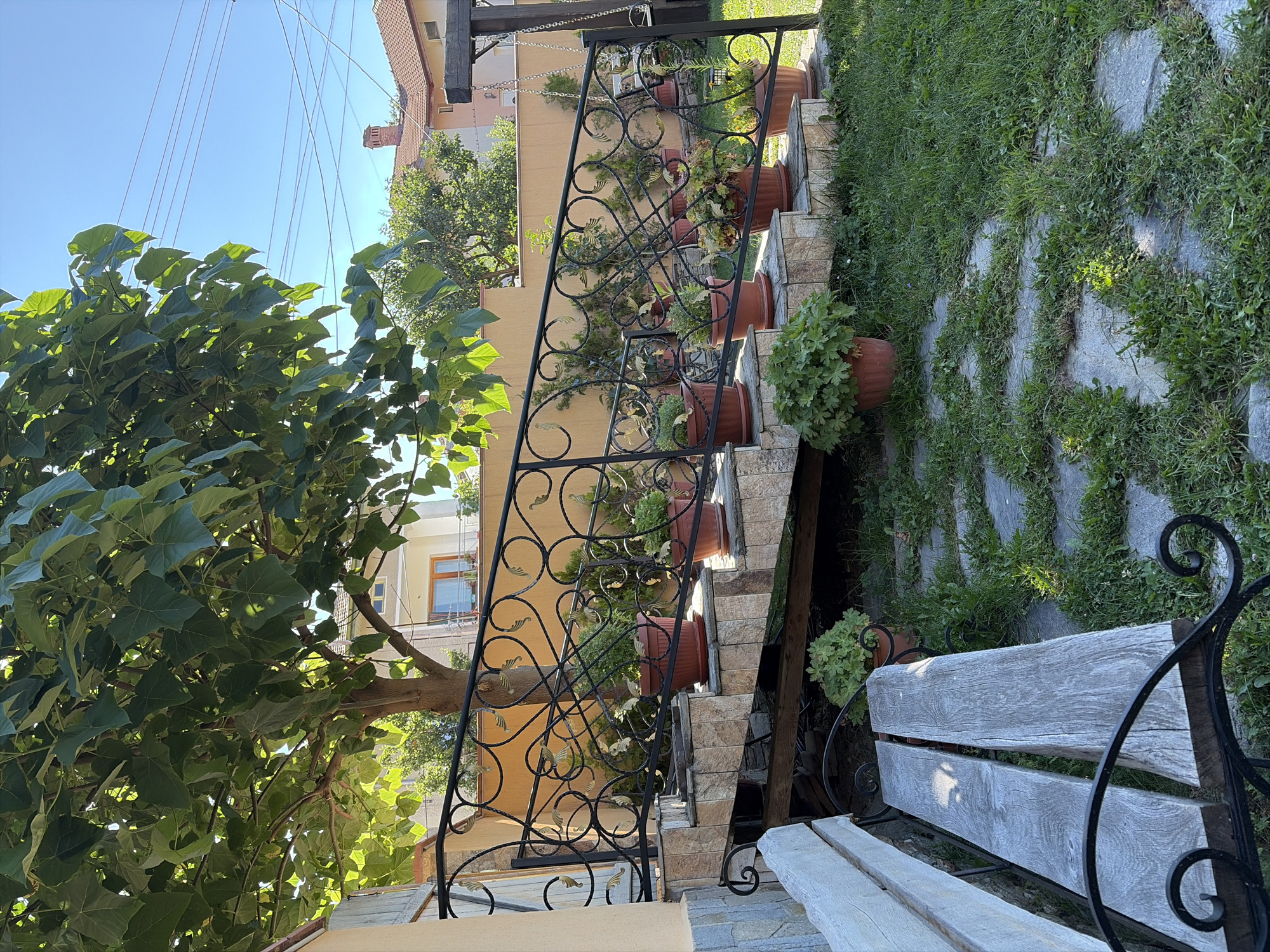 Summer morning around a Smolyan guesthouse and nearby streets