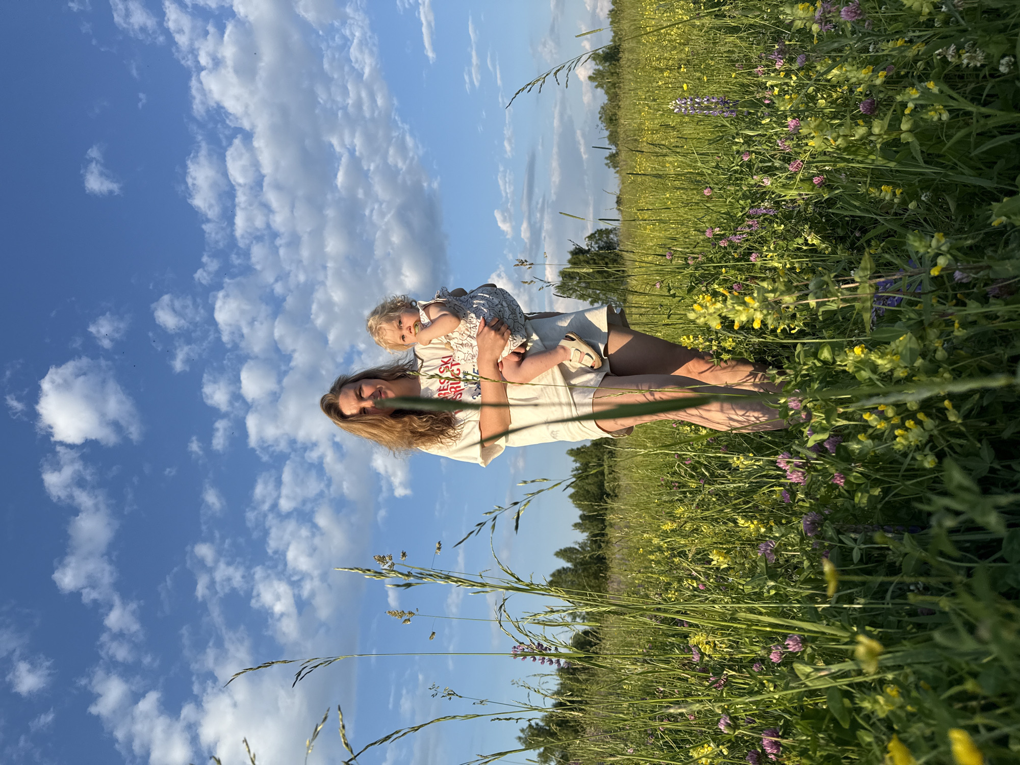 Afternoon stroll through wildflower meadows in Koloksha countryside