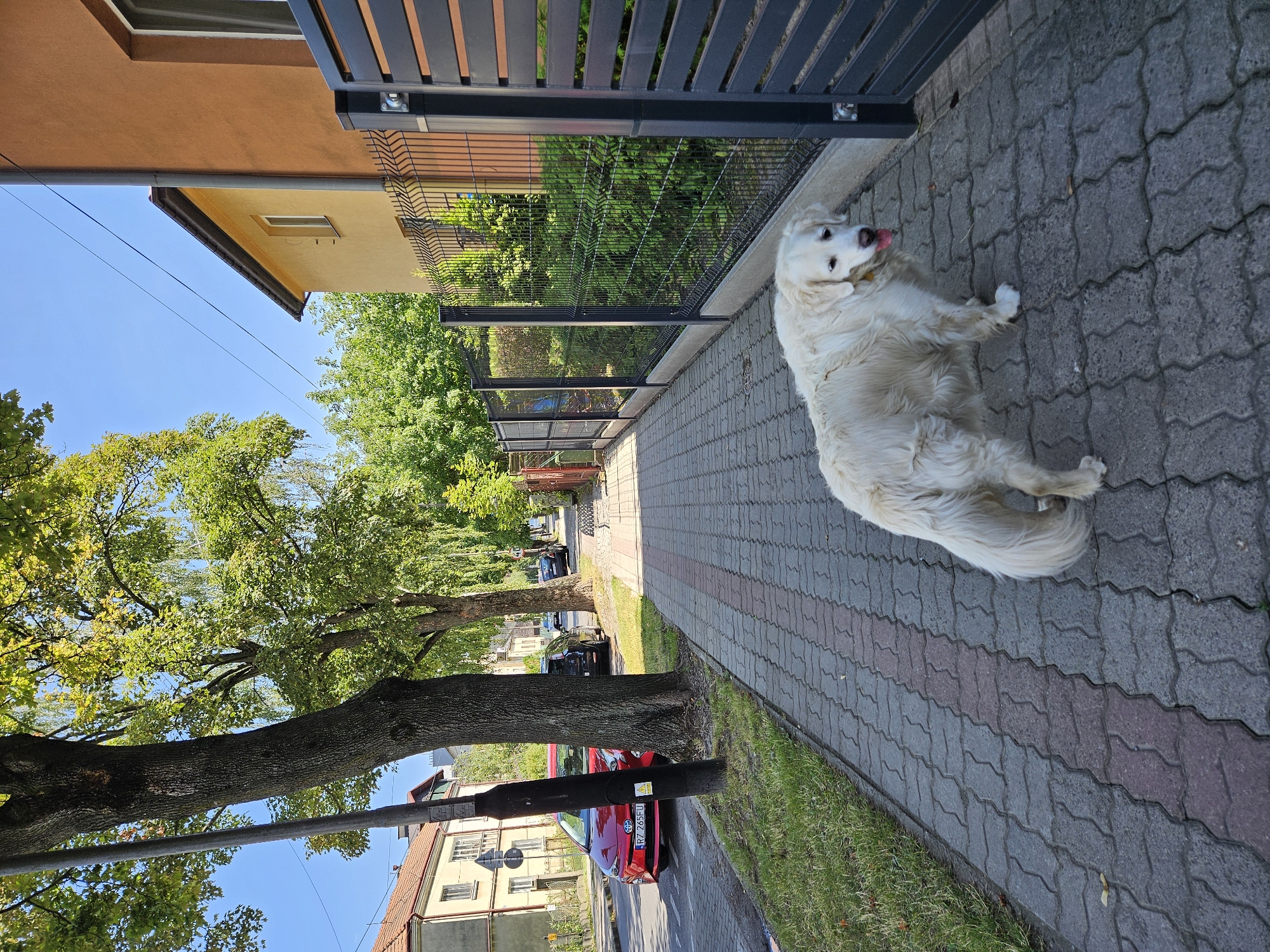 Rzeszów, Poland