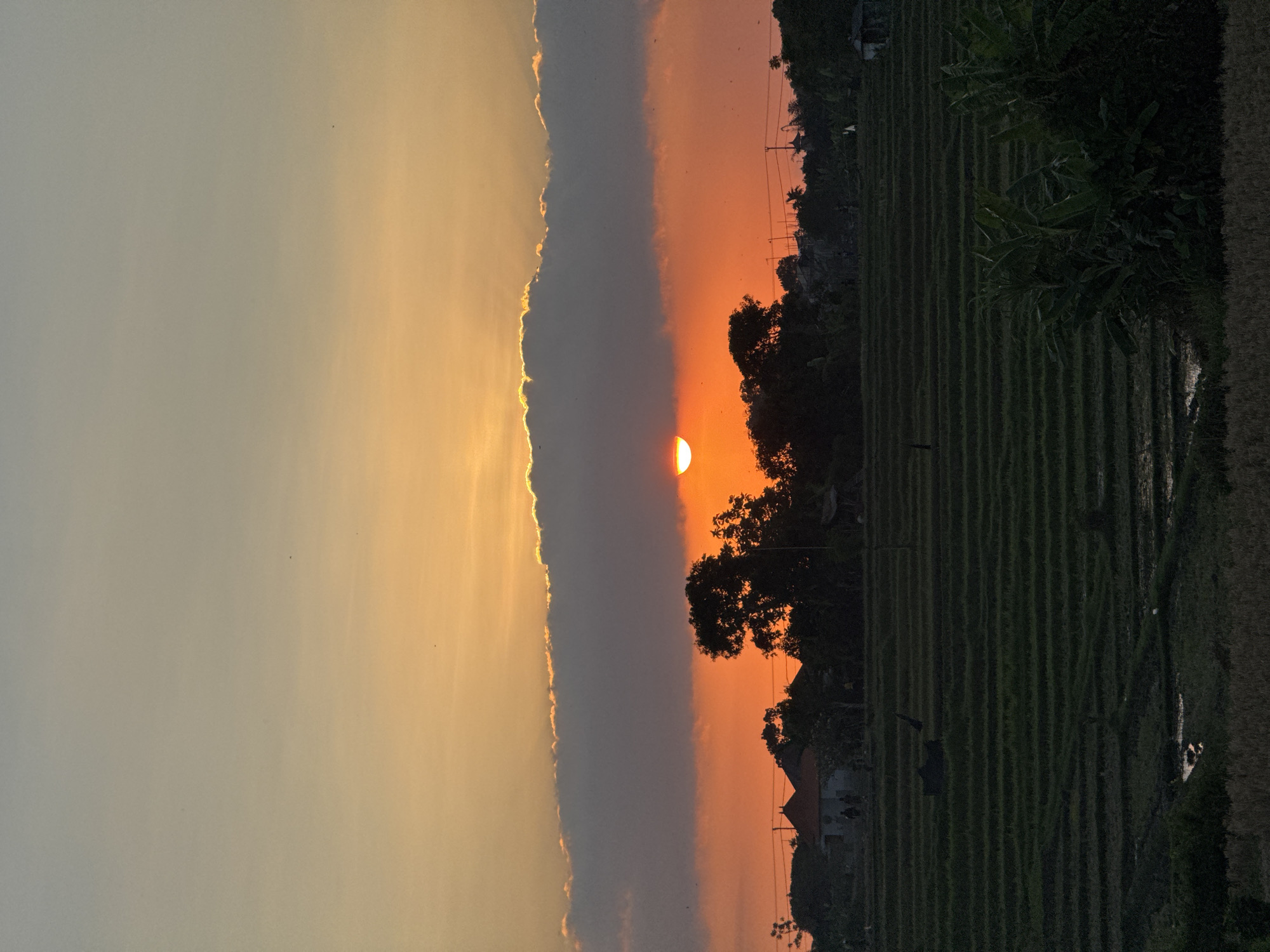 Rice field sunset in Bali with volcano on the horizon