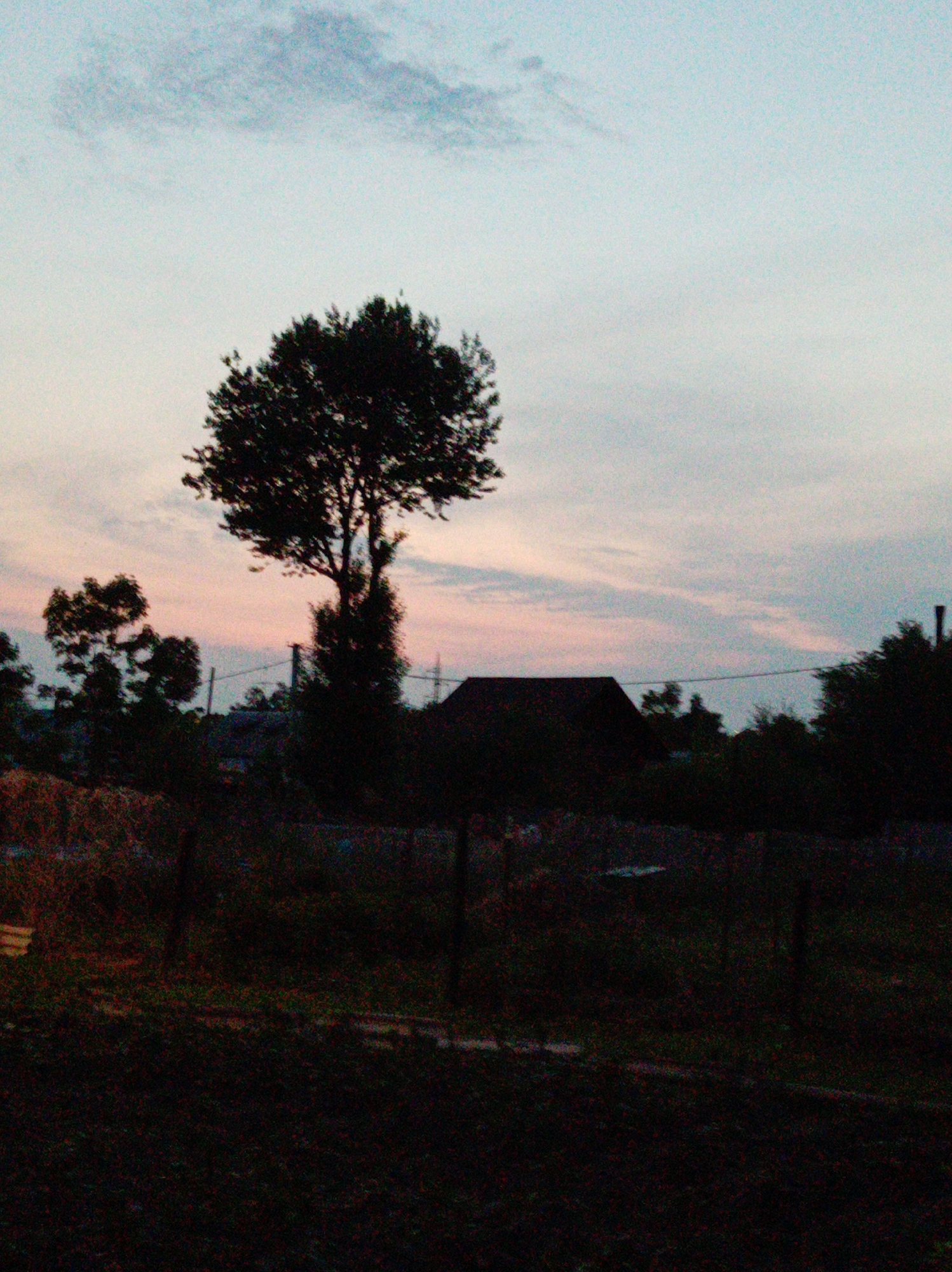Dawn sky photographed over Artyom Russia June 3rd