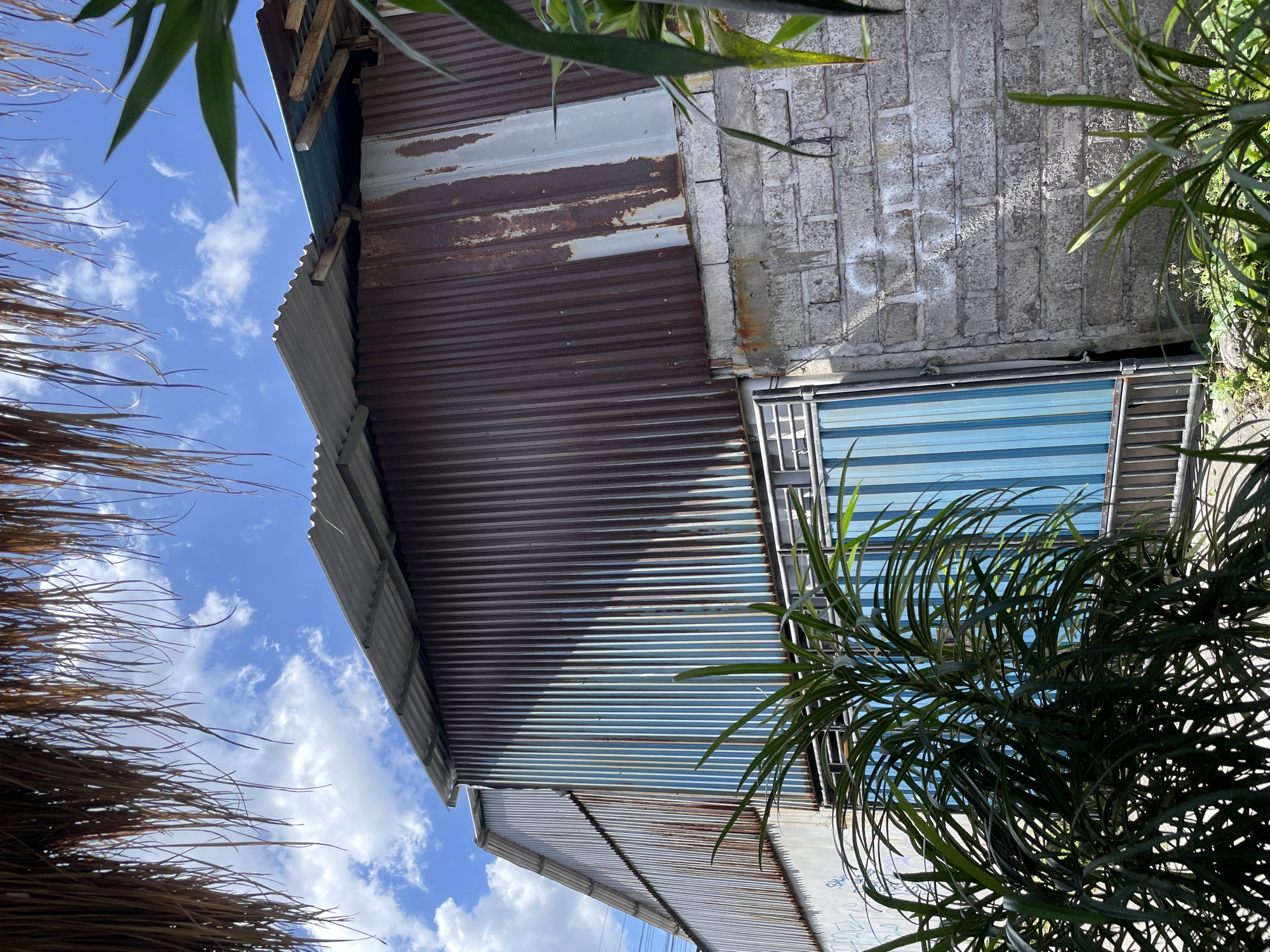 Lunch and rice paddy views at a rustic North Kuta warung