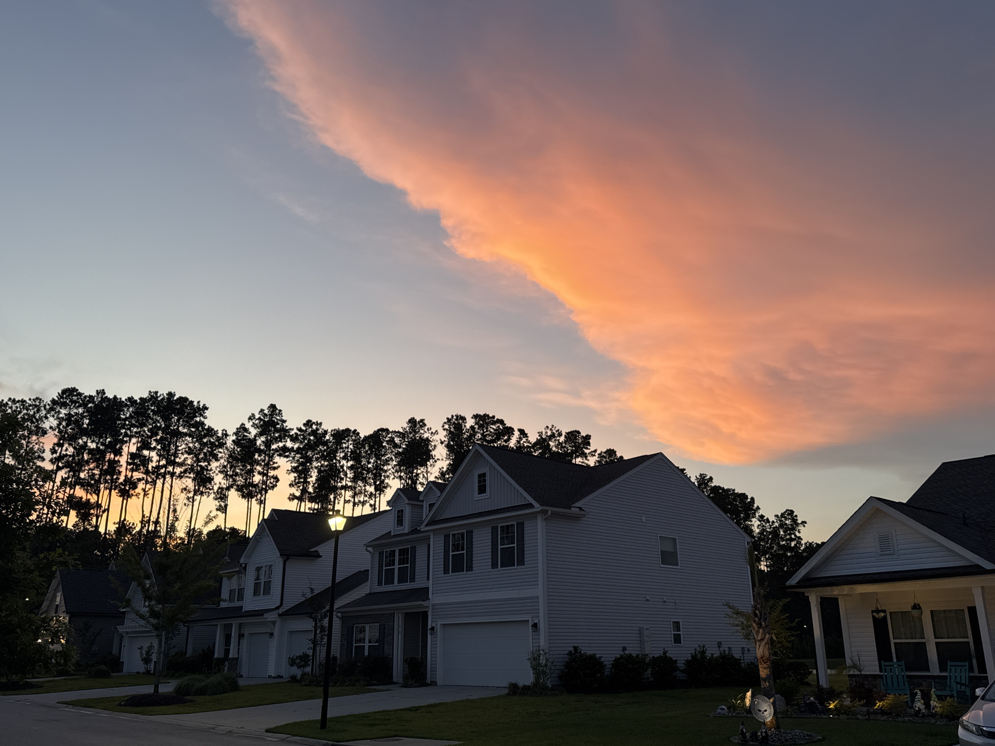 Suburban street sunset with vivid sky and pine silhouettes