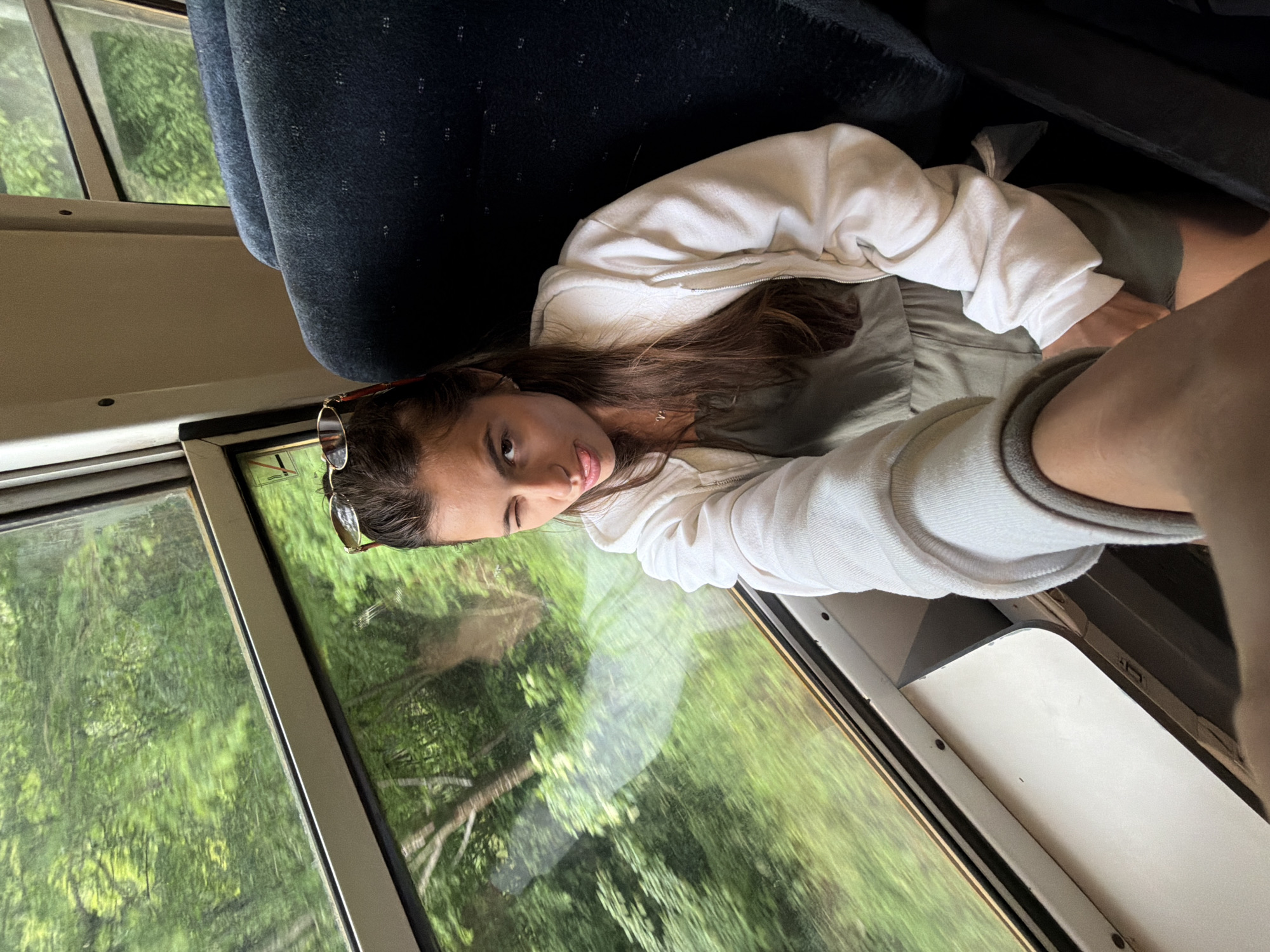 Passengers document hour-long train journey through overcast countryside