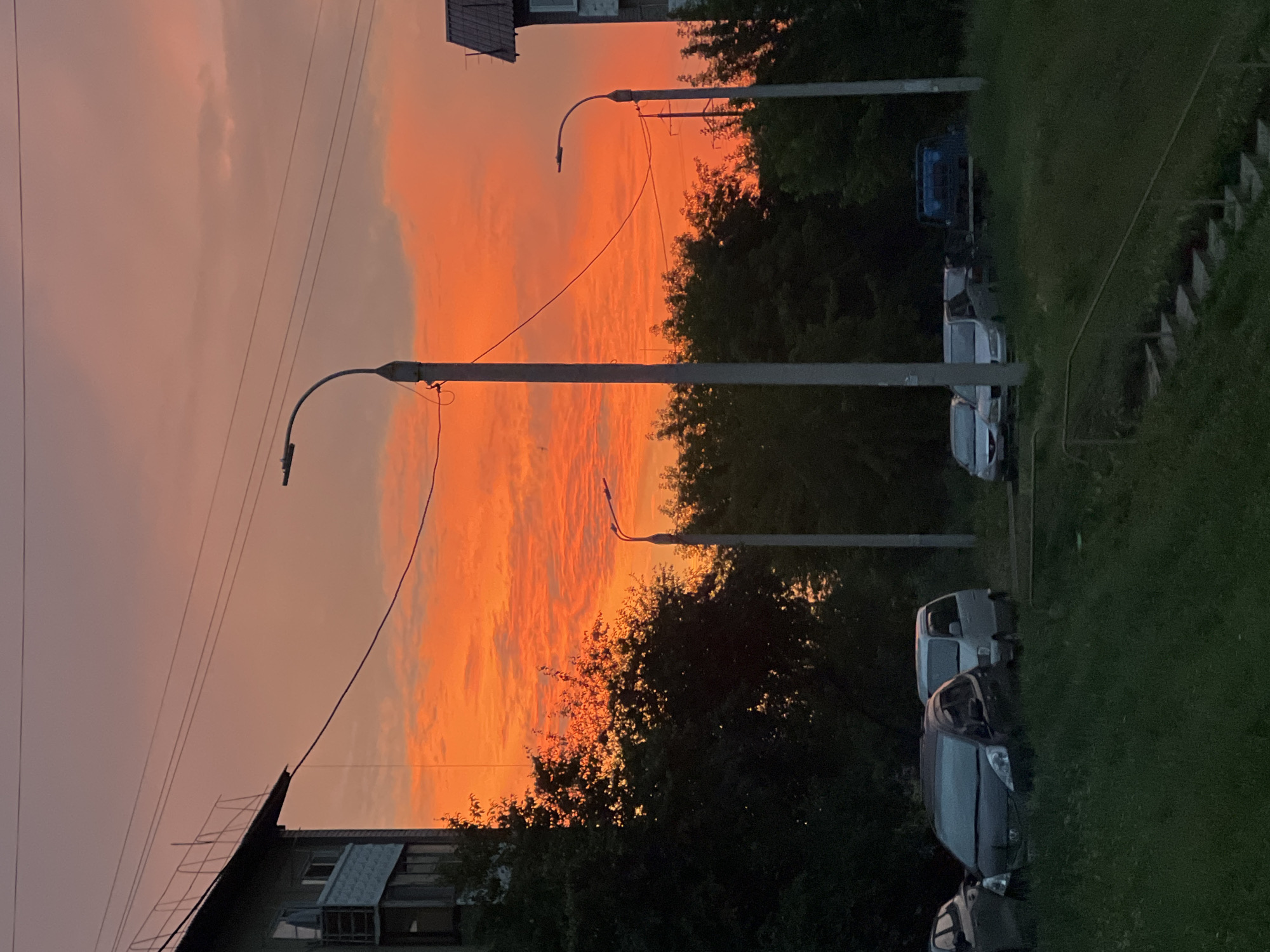 Sunset evening stroll with a Pomeranian and a tank nearby