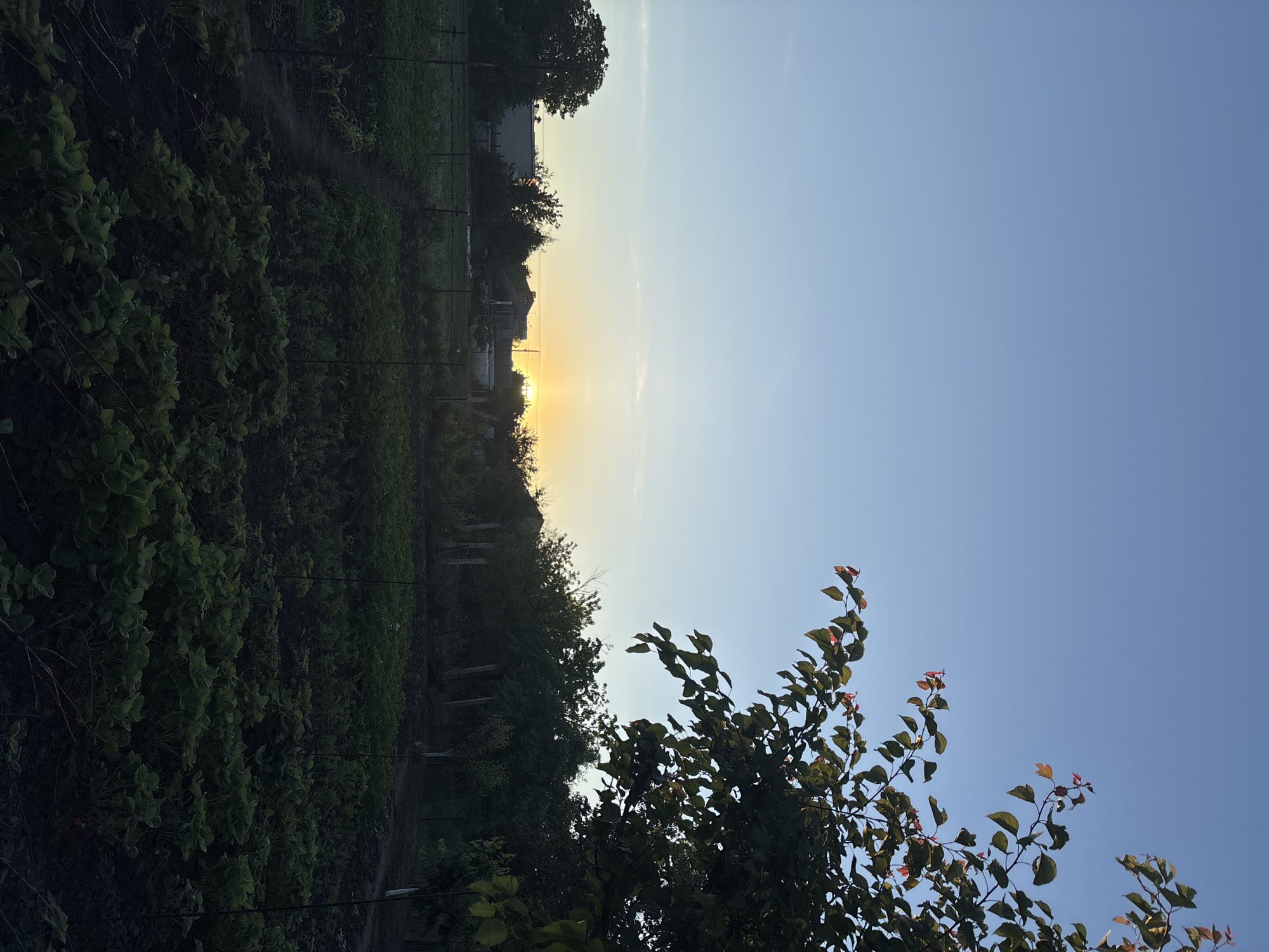 Rural sunrise captured across farmland fields June 2026